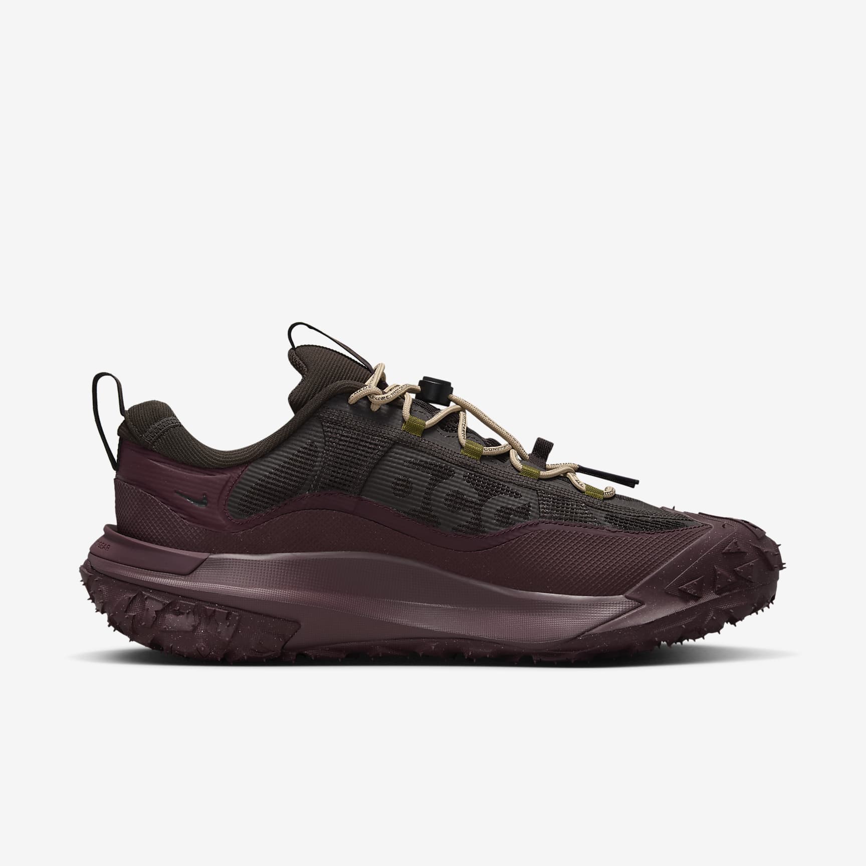Nike ACG Mountain Fly 2 Low GORE-TEX Men's Shoes