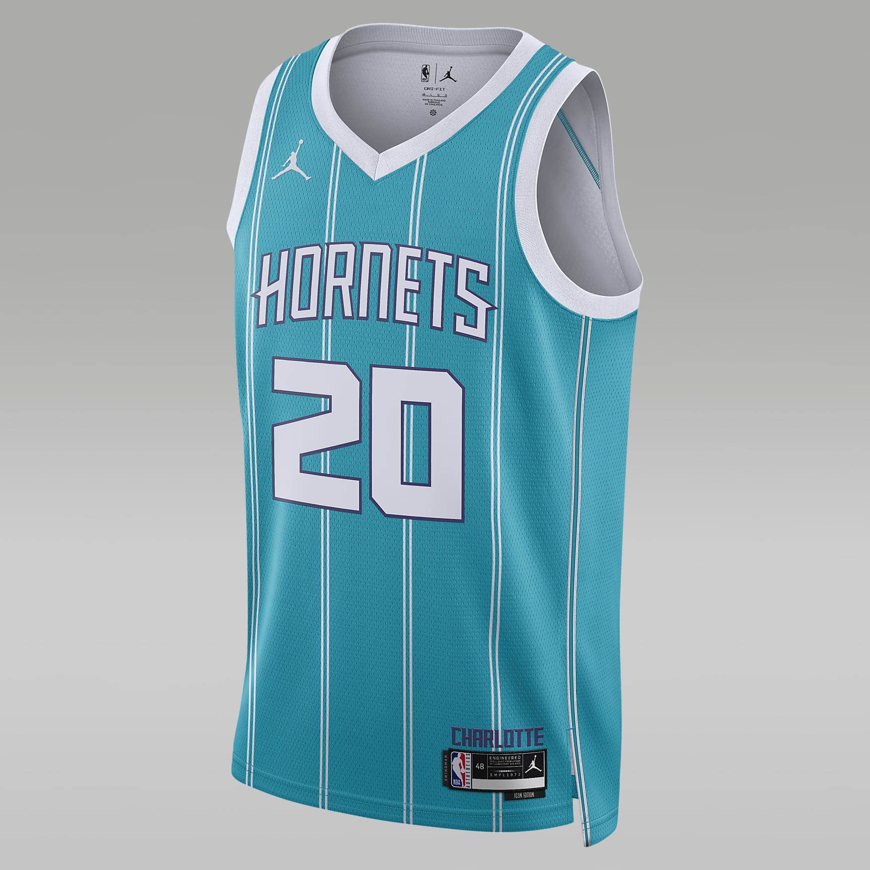 Charlotte Hornets Icon Edition 2022/23 Men's Jordan Dri-FIT NBA Swingman Jersey