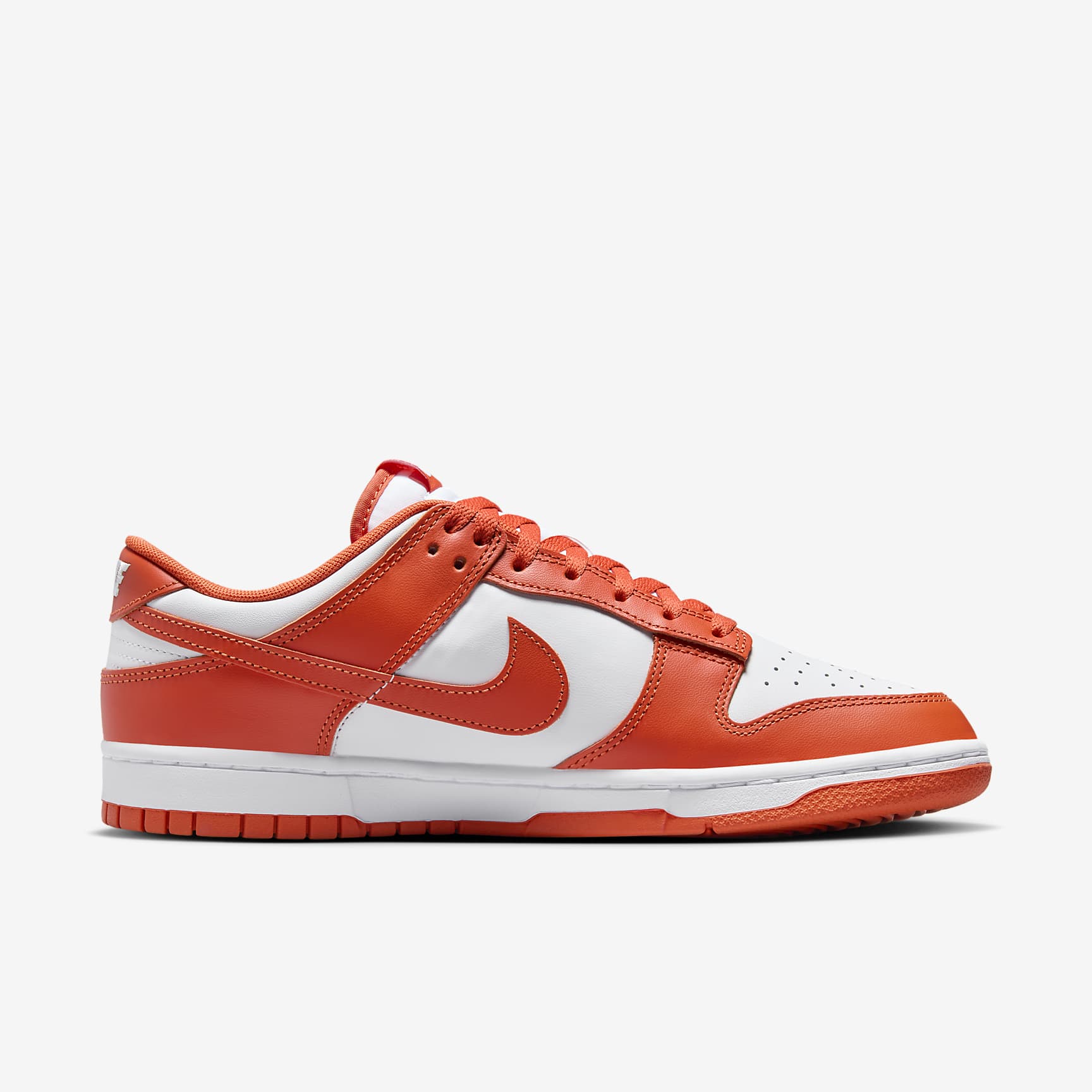 Nike Dunk Low Retro Men's Shoes