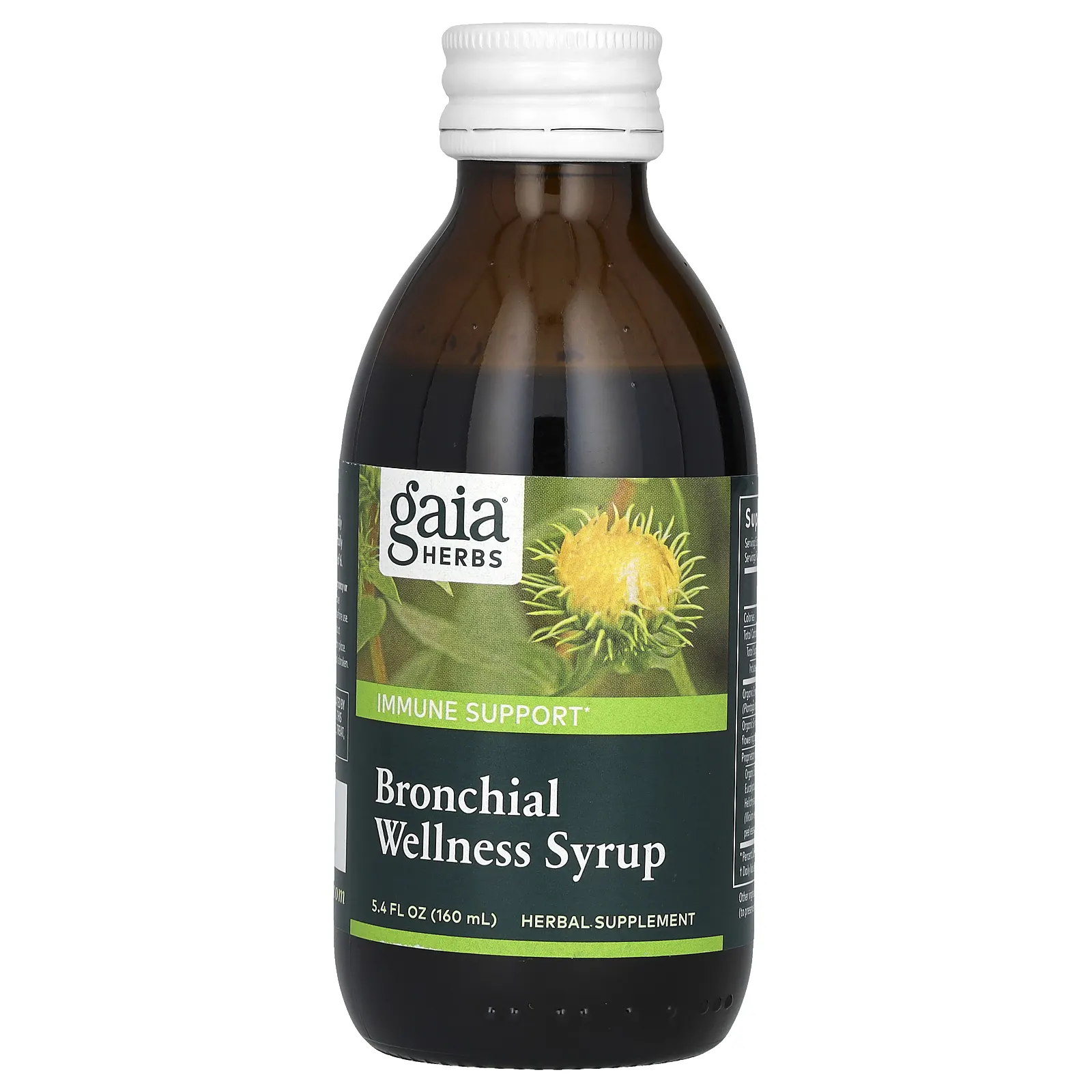 Gaia Herbs, сироп для здоровья бронхов, 160 мл (5,4 жидк. унции)