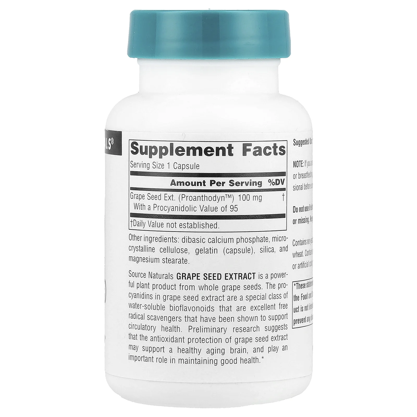 Source Naturals, Proanthodyn ™, экстракт виноградных косточек, 100 мг, 120 капсул