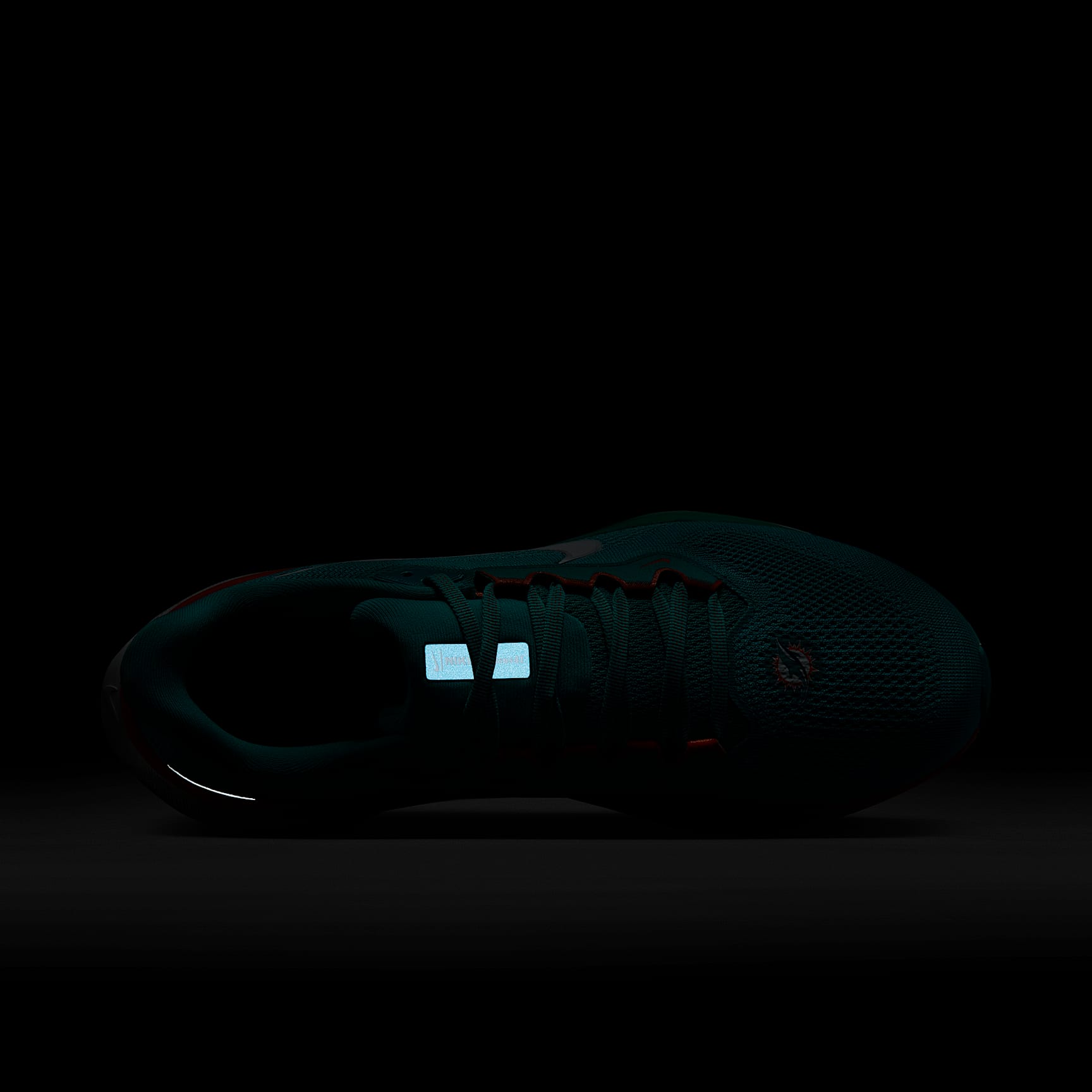 Nike Pegasus 41 NFL Miami Dolphins Men's Road Running Shoes