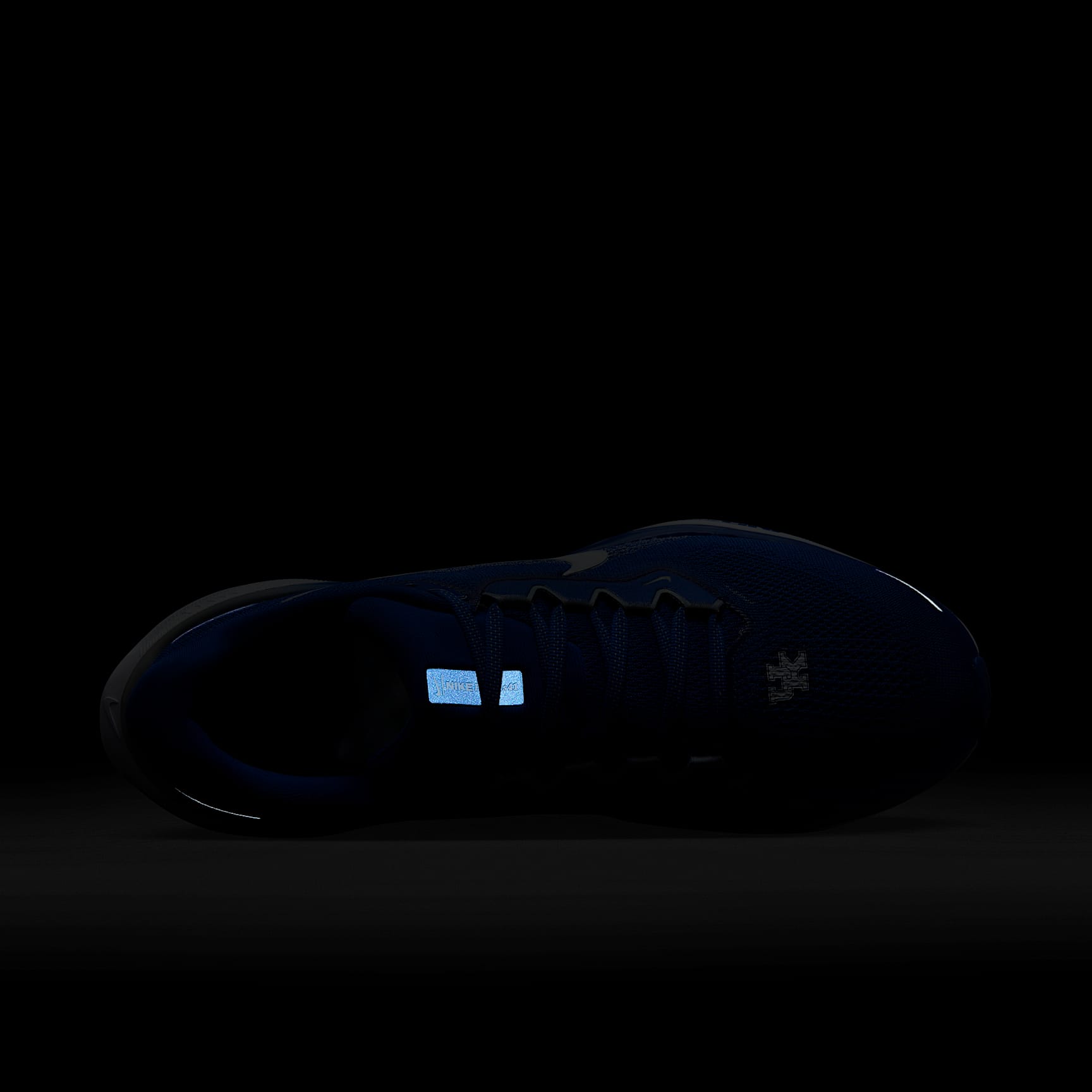 Kentucky Pegasus 41 Men's Nike College Road Running Shoes