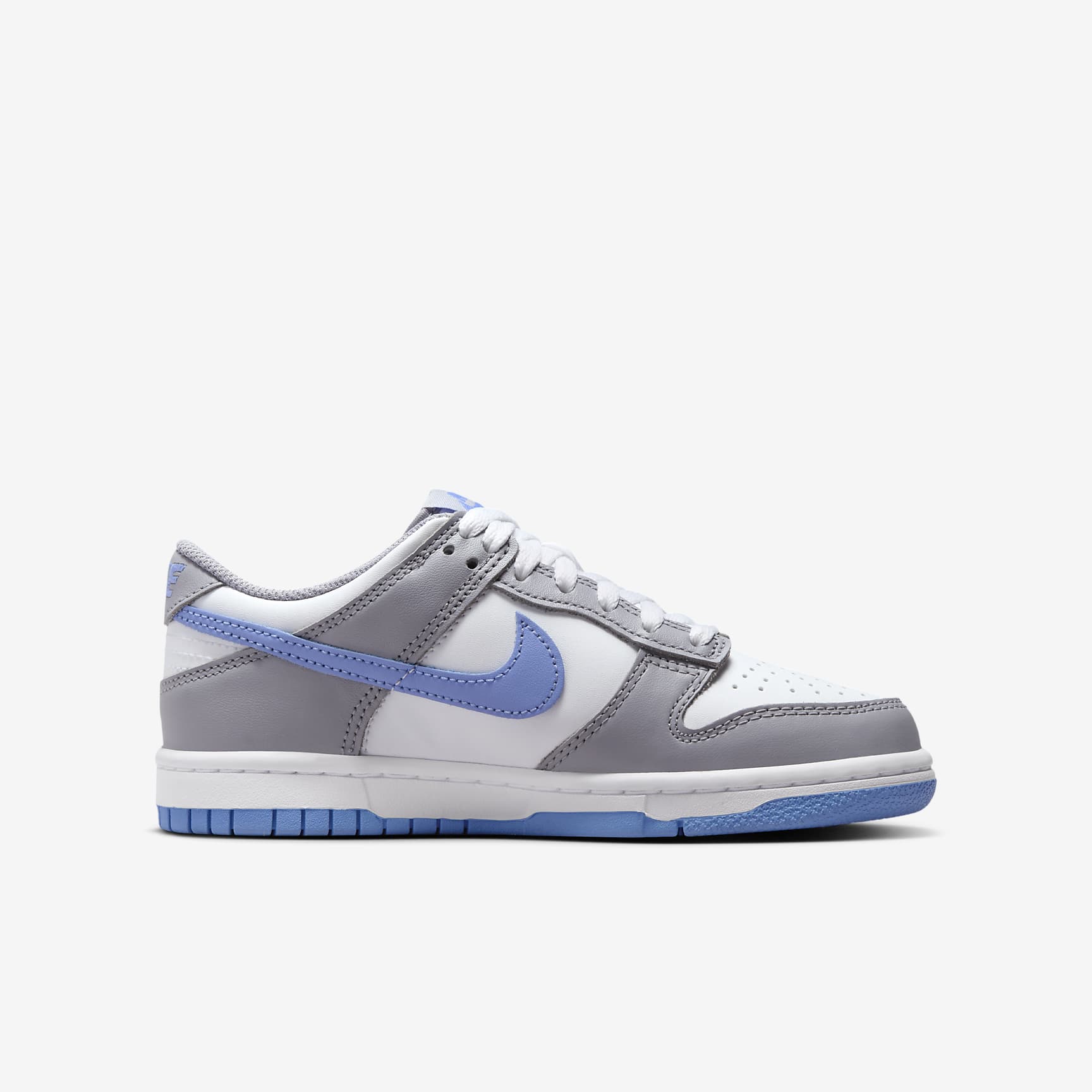 Nike Dunk Low Big Kids' Shoes