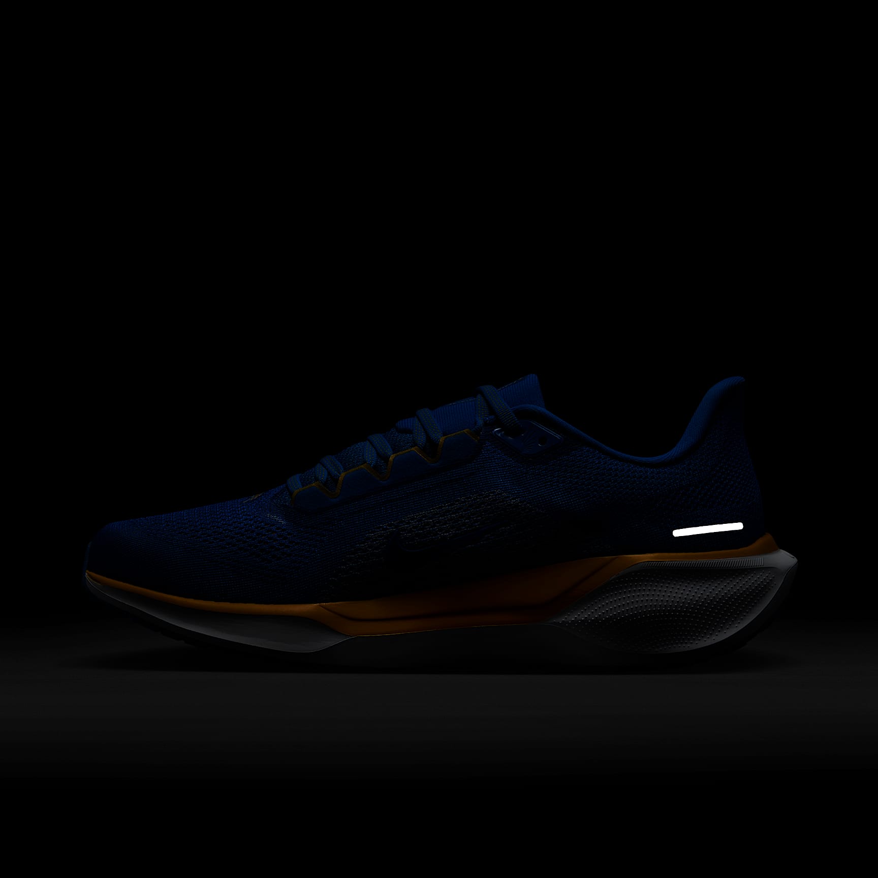 Nike Pegasus 41 NFL Los Angeles Chargers Men's Road Running Shoes