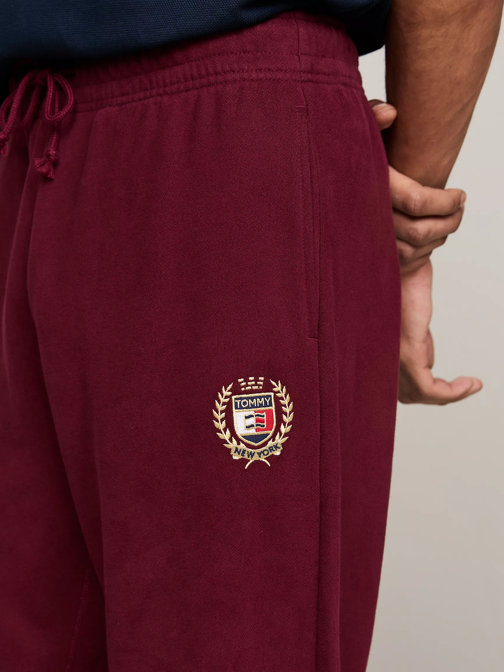 Мужские брюки Tommy Hilfiger, Джоггеры с вышитым гербом