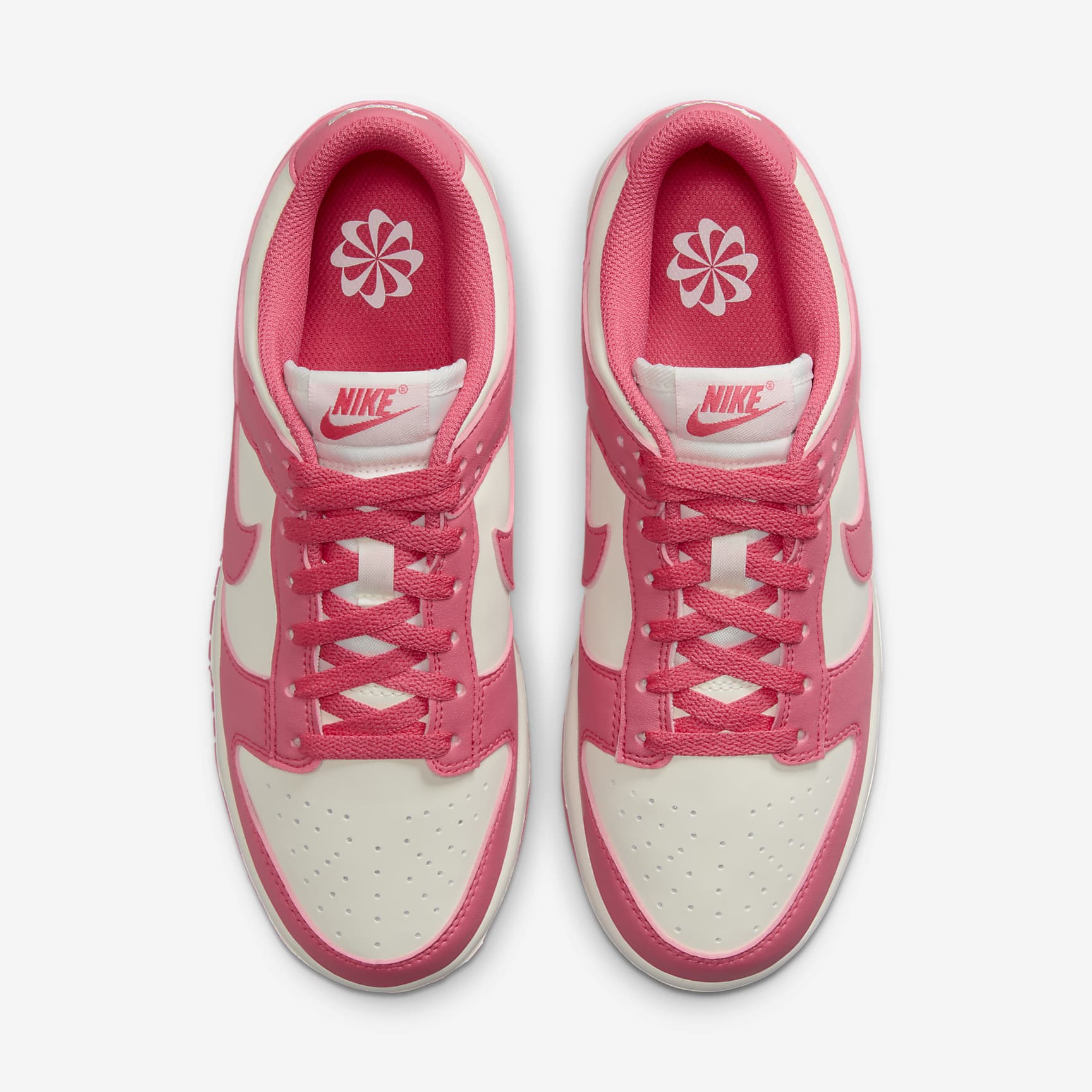 Nike Dunk Low Next Nature Women's Shoes