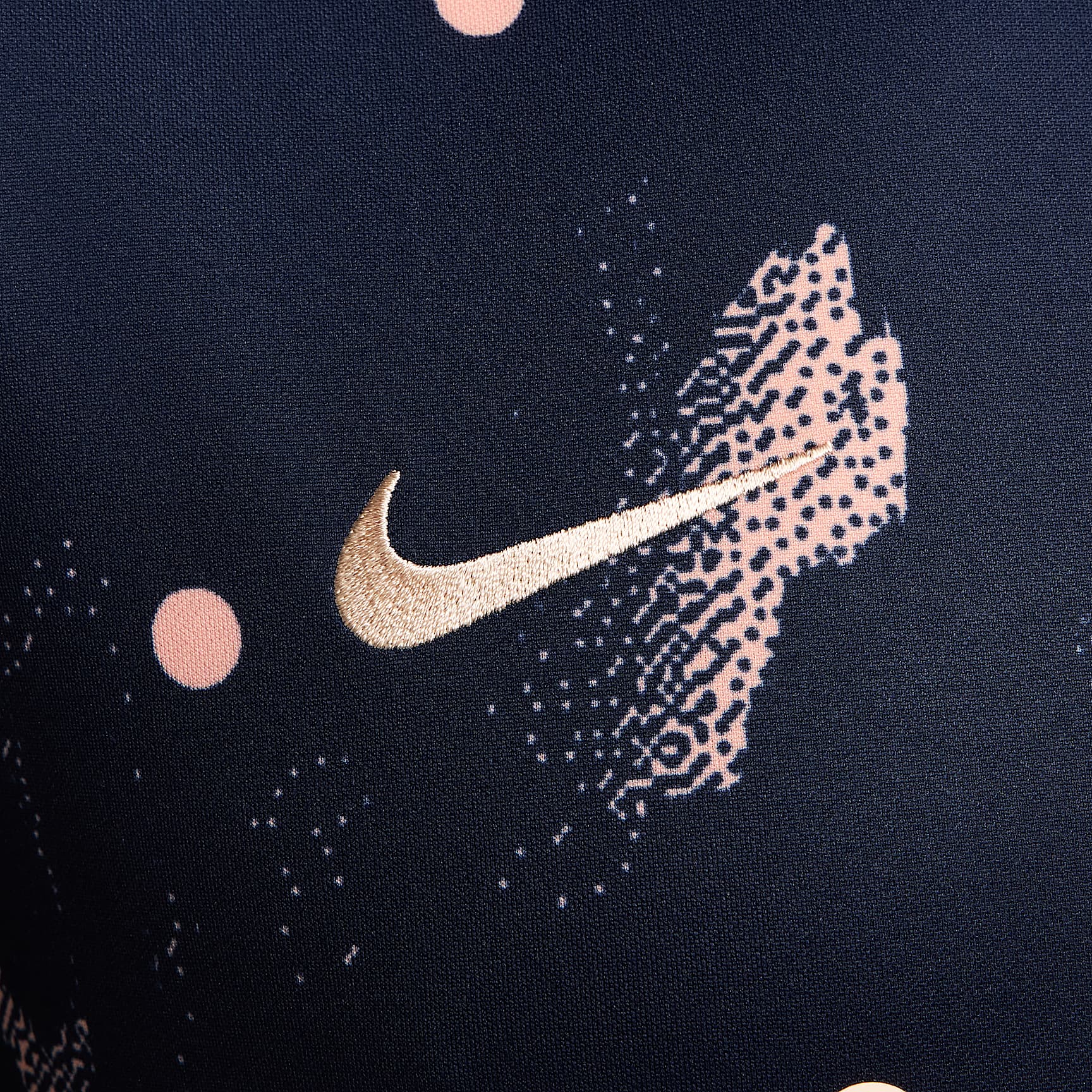 Chelsea FC Academy Pro SE Men's Nike Dri-FIT Soccer Pre-Match Short-Sleeve Top