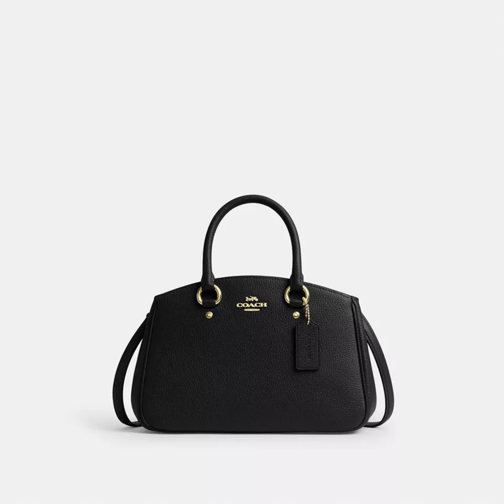 Сумка COACH Savannah Small Carryall Bag