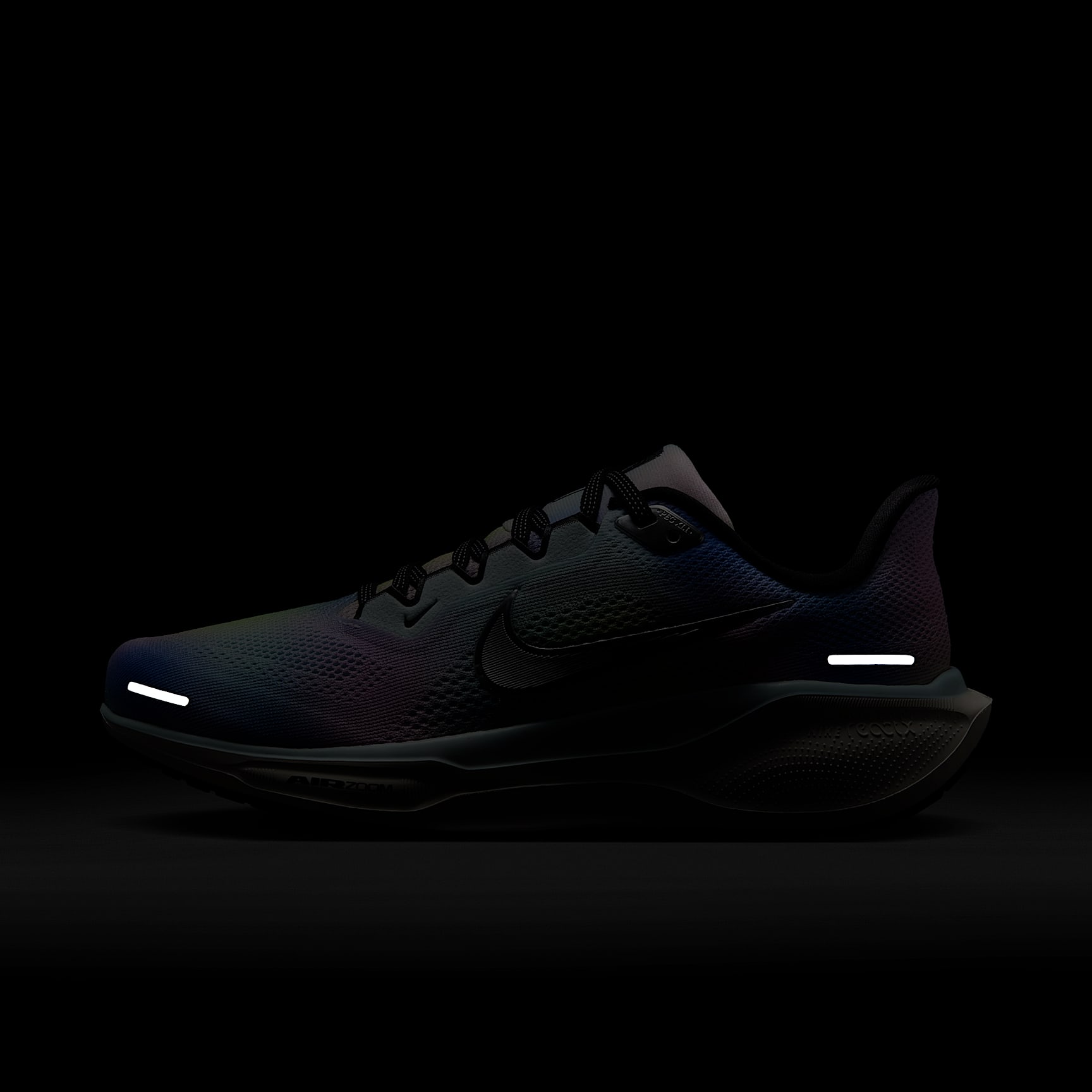 Nike Pegasus 41 SE Women's Road Running Shoes