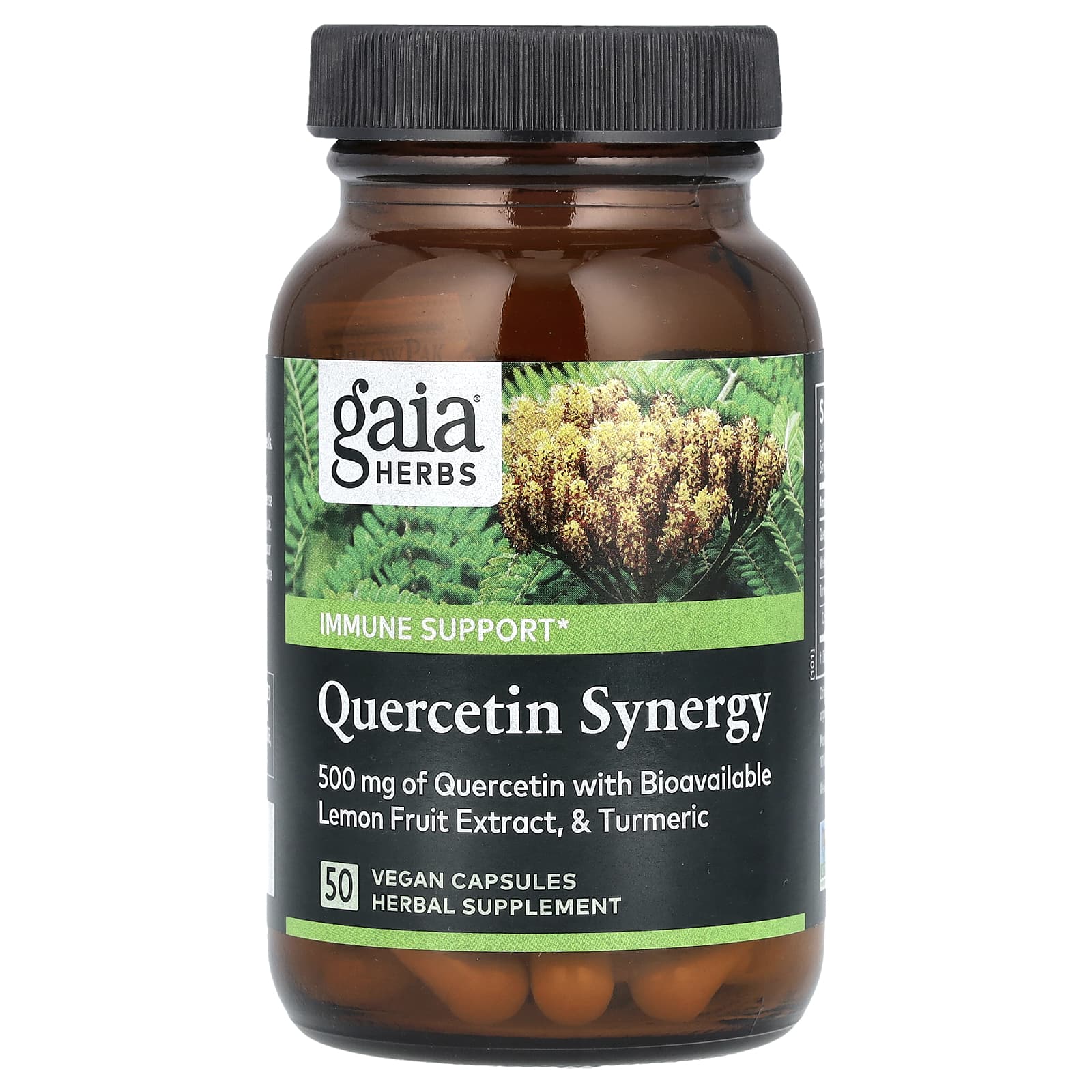Gaia Herbs, Quercetin Synergy, 50 веганских капсул