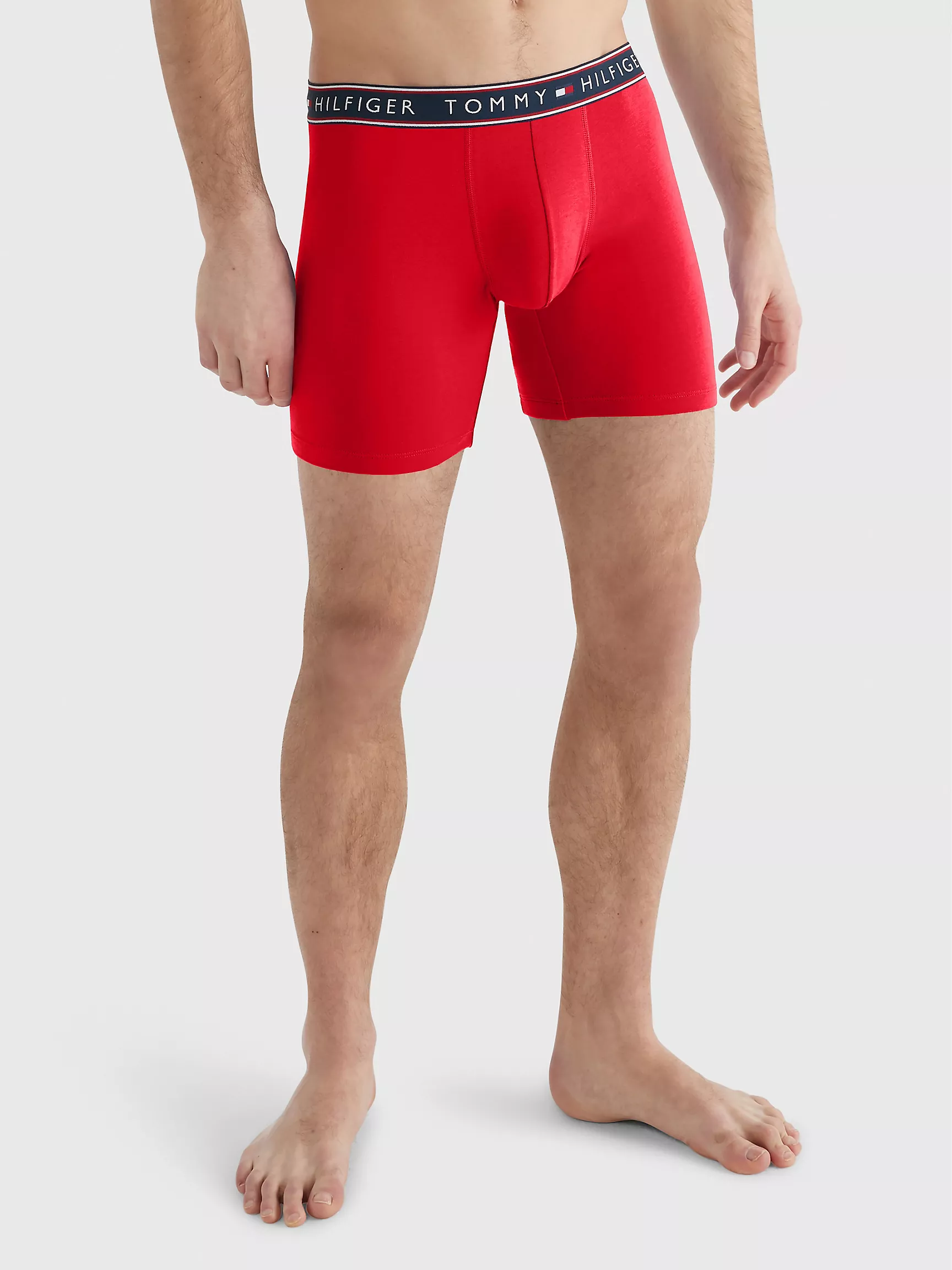 Мужское нижнее белье Tommy Hilfiger, Хлопковые эластичные боксеры-брифы (набор 3 шт.)