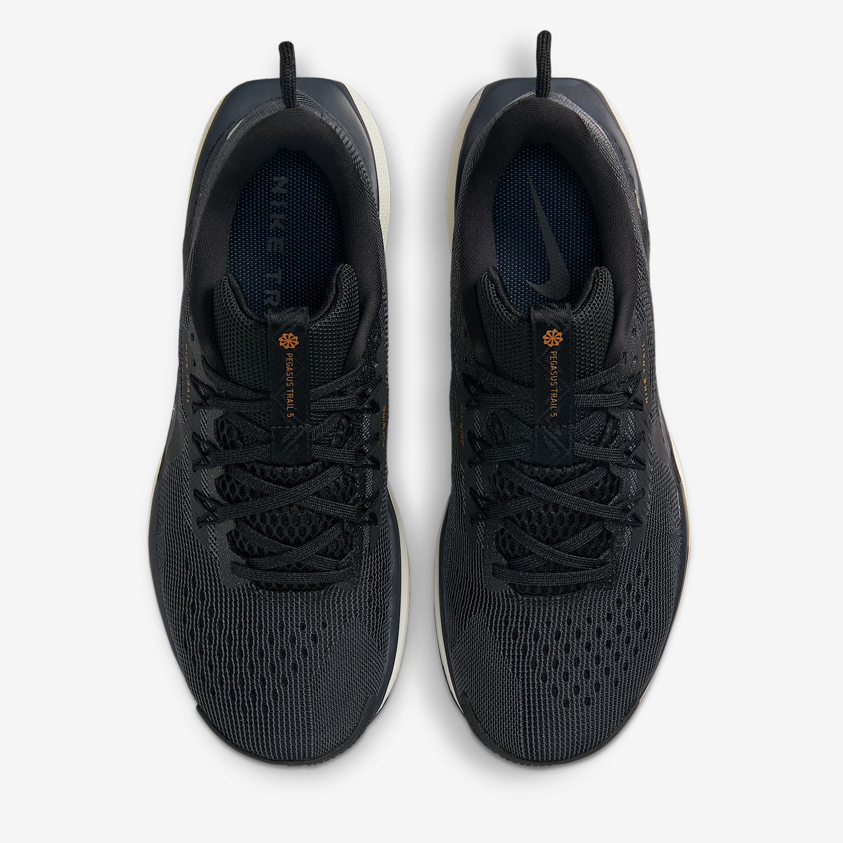 Nike Pegasus Trail 5 Women's Trail Running Shoes