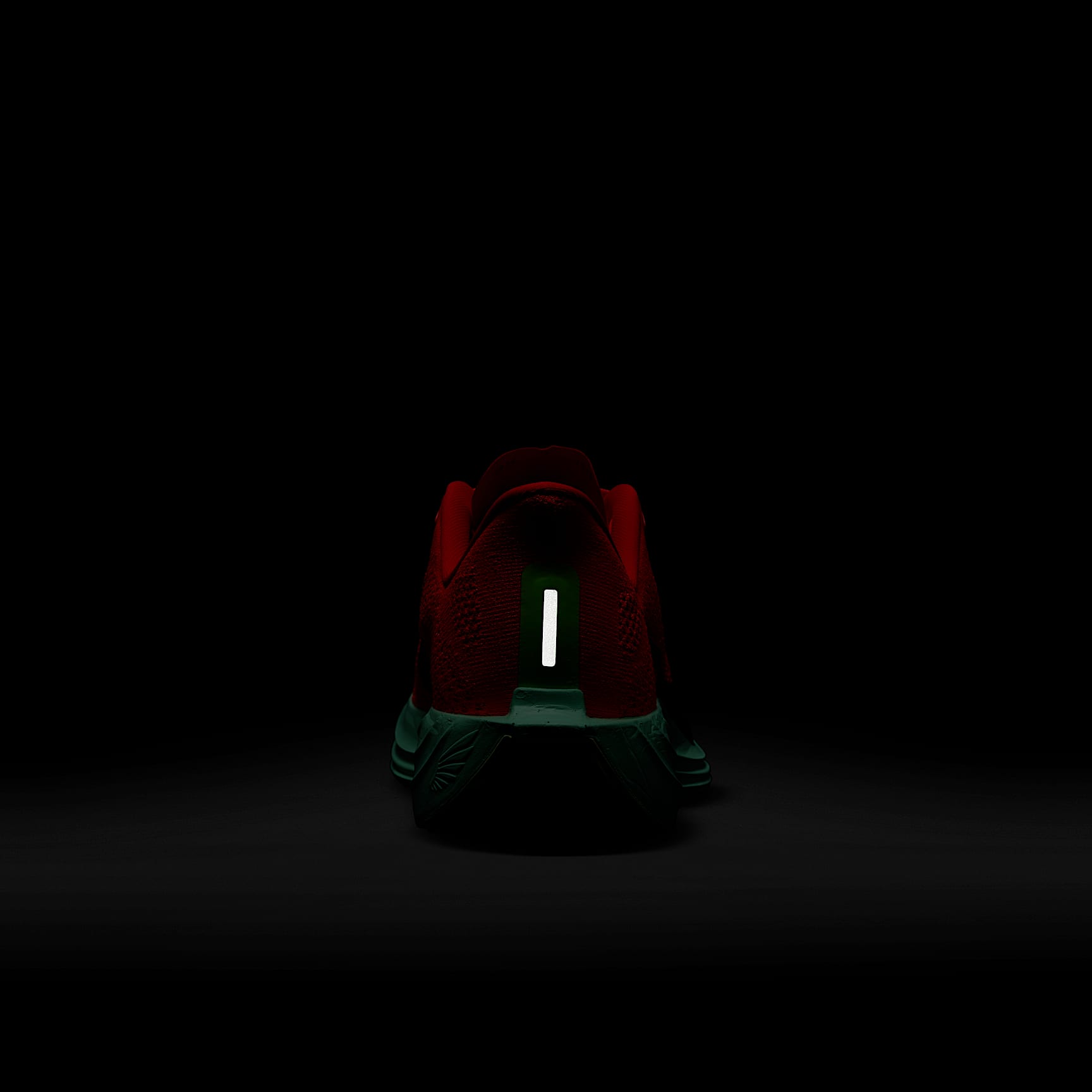 Nike Pegasus Plus Women's Road Running Shoes