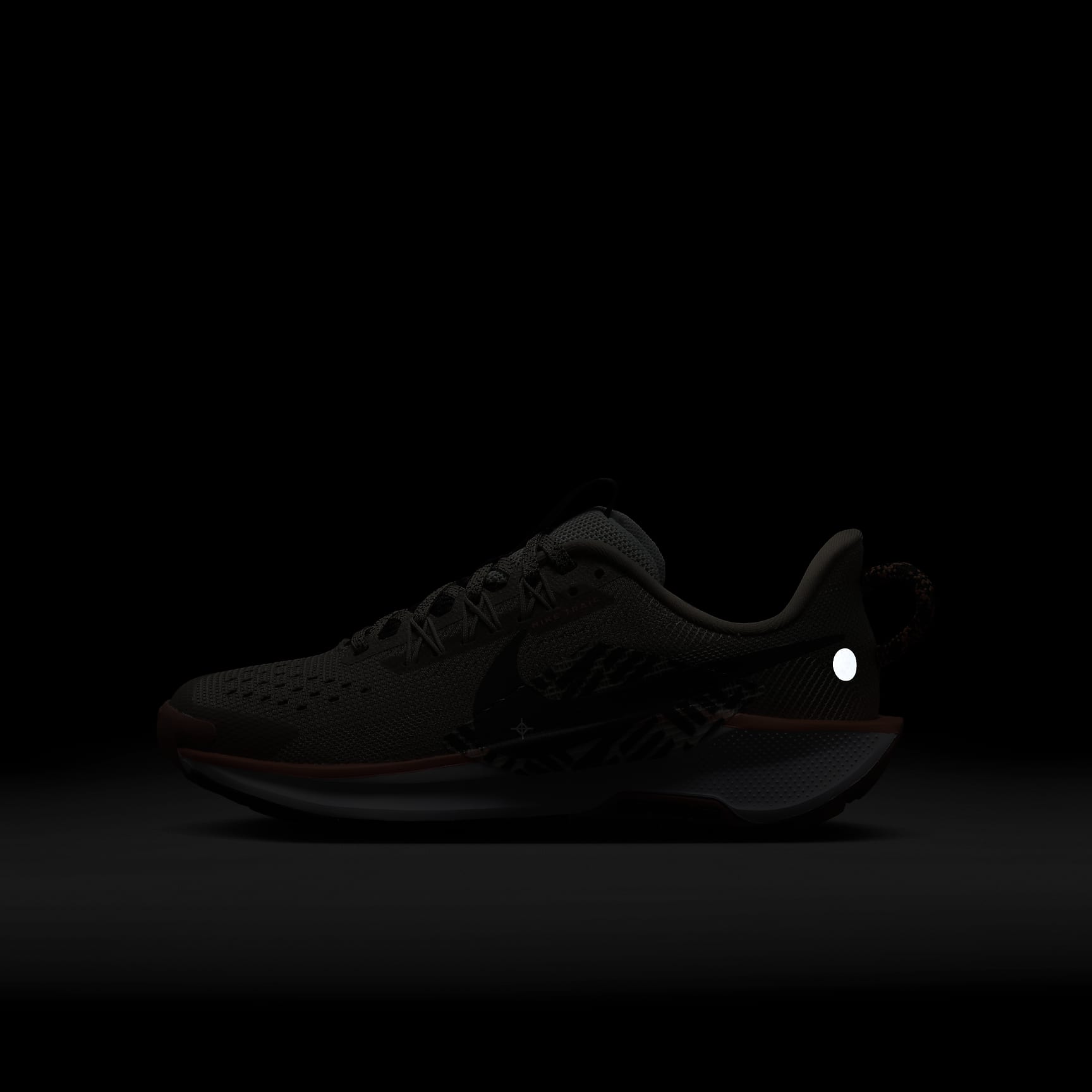 Nike Pegasus Trail 5 Big Kids' Trail Running Shoes