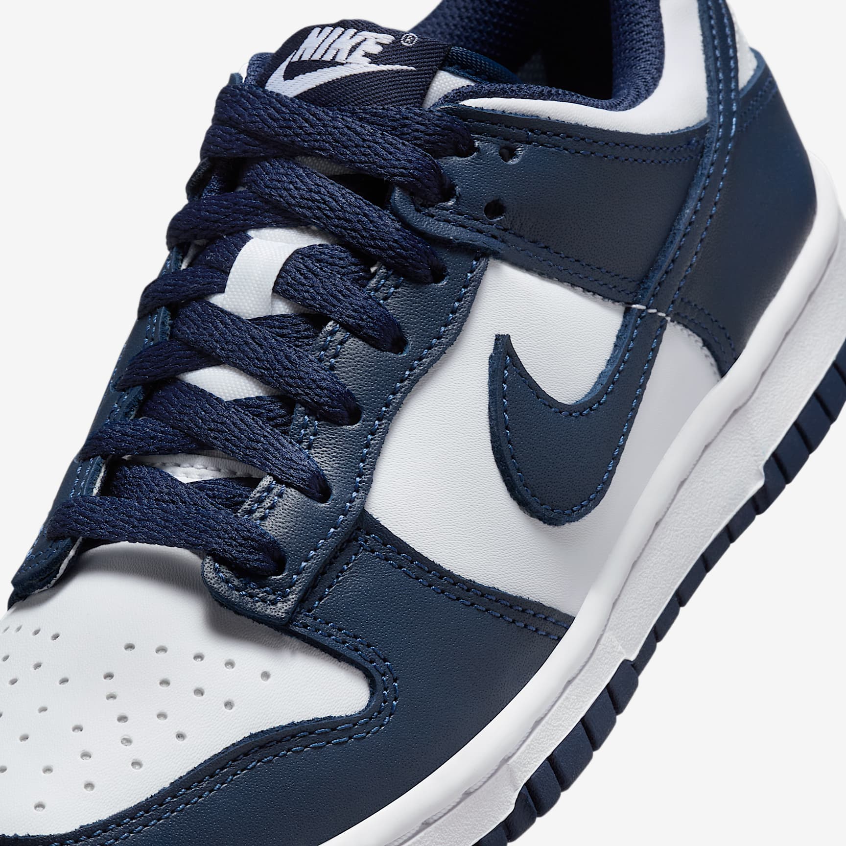 Nike Dunk Low Big Kids' Shoes