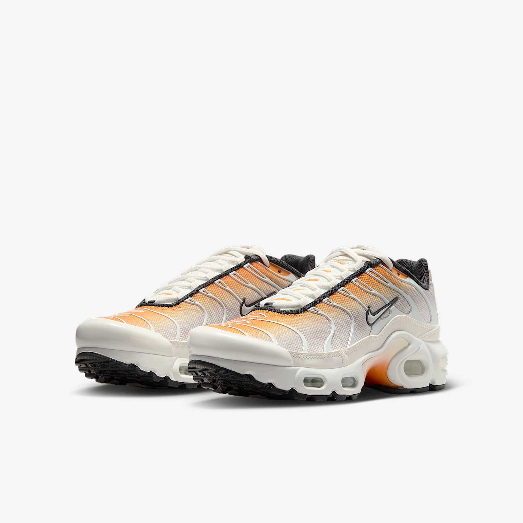 Nike Air Max Plus Big Kids' Shoes