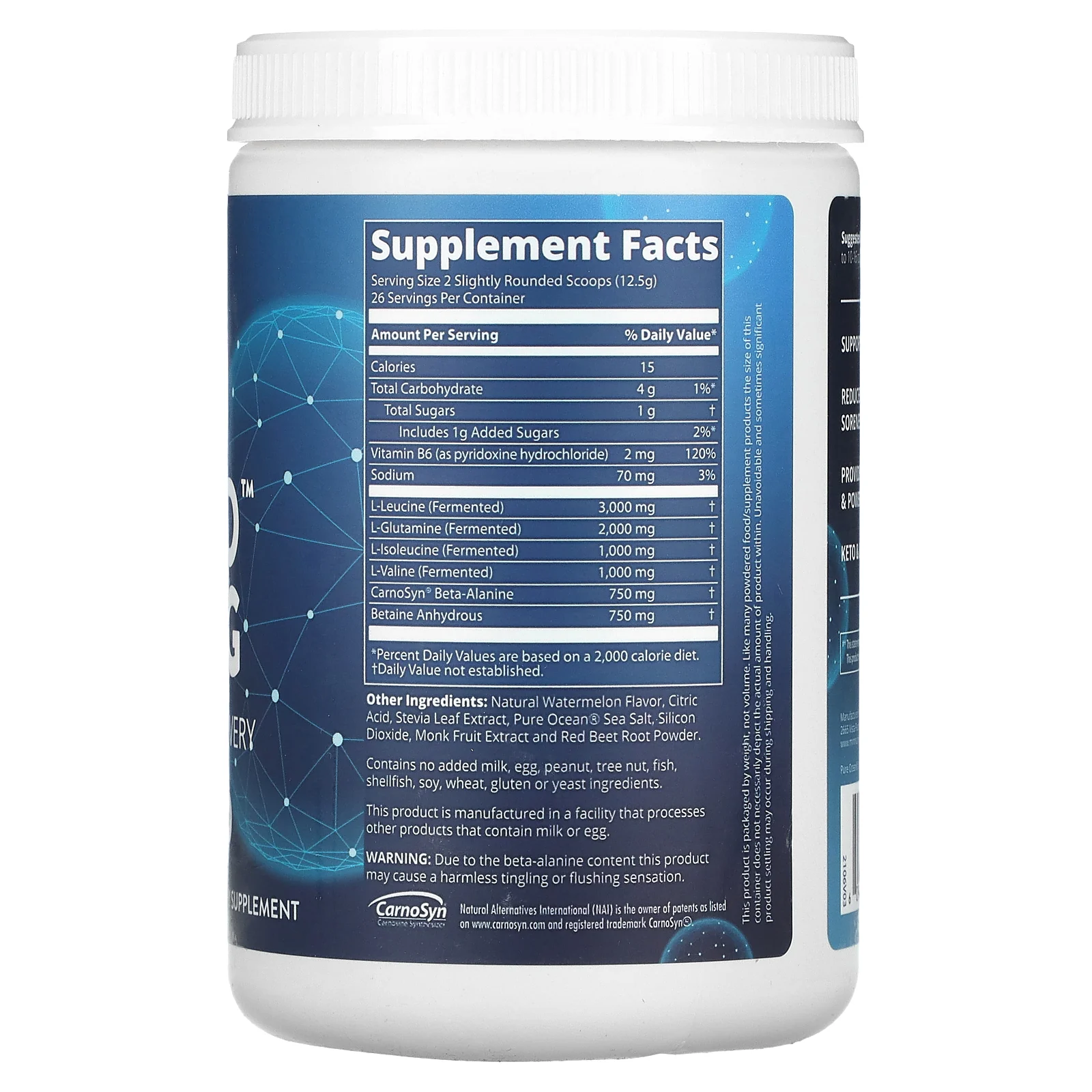 MRM Nutrition, Reload BCAA + G, восстановление после тренировки, арбуз, 330 г (11,6 унции)