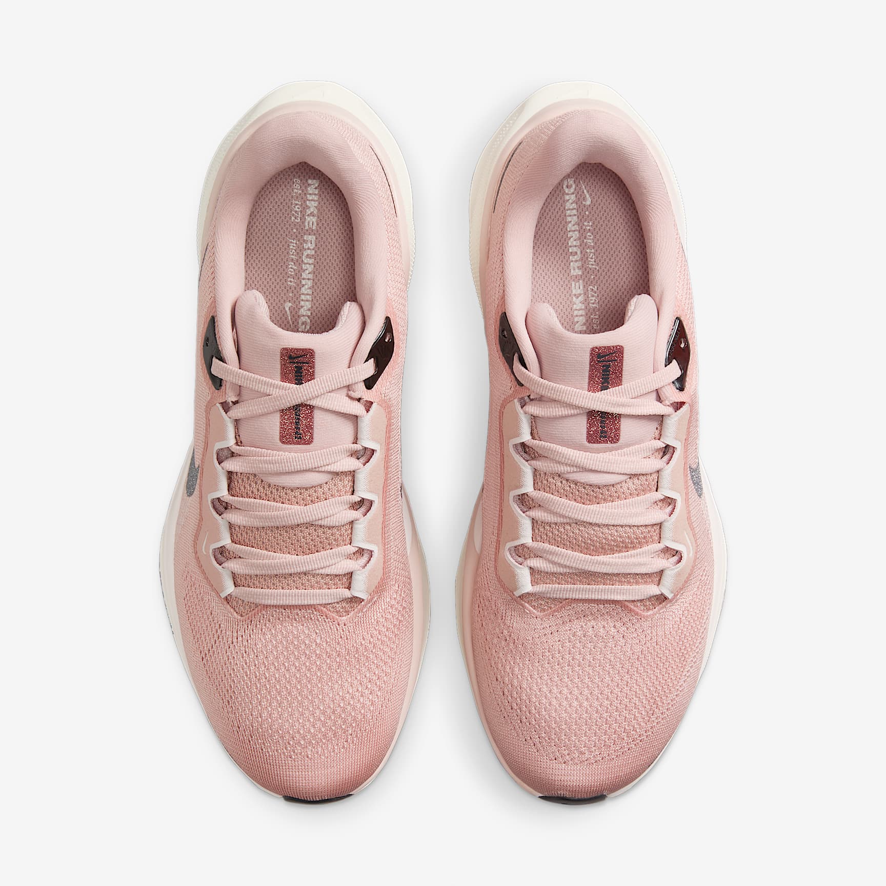 Nike Pegasus 41 PRM Women's Road Running Shoes with Metallic Accents