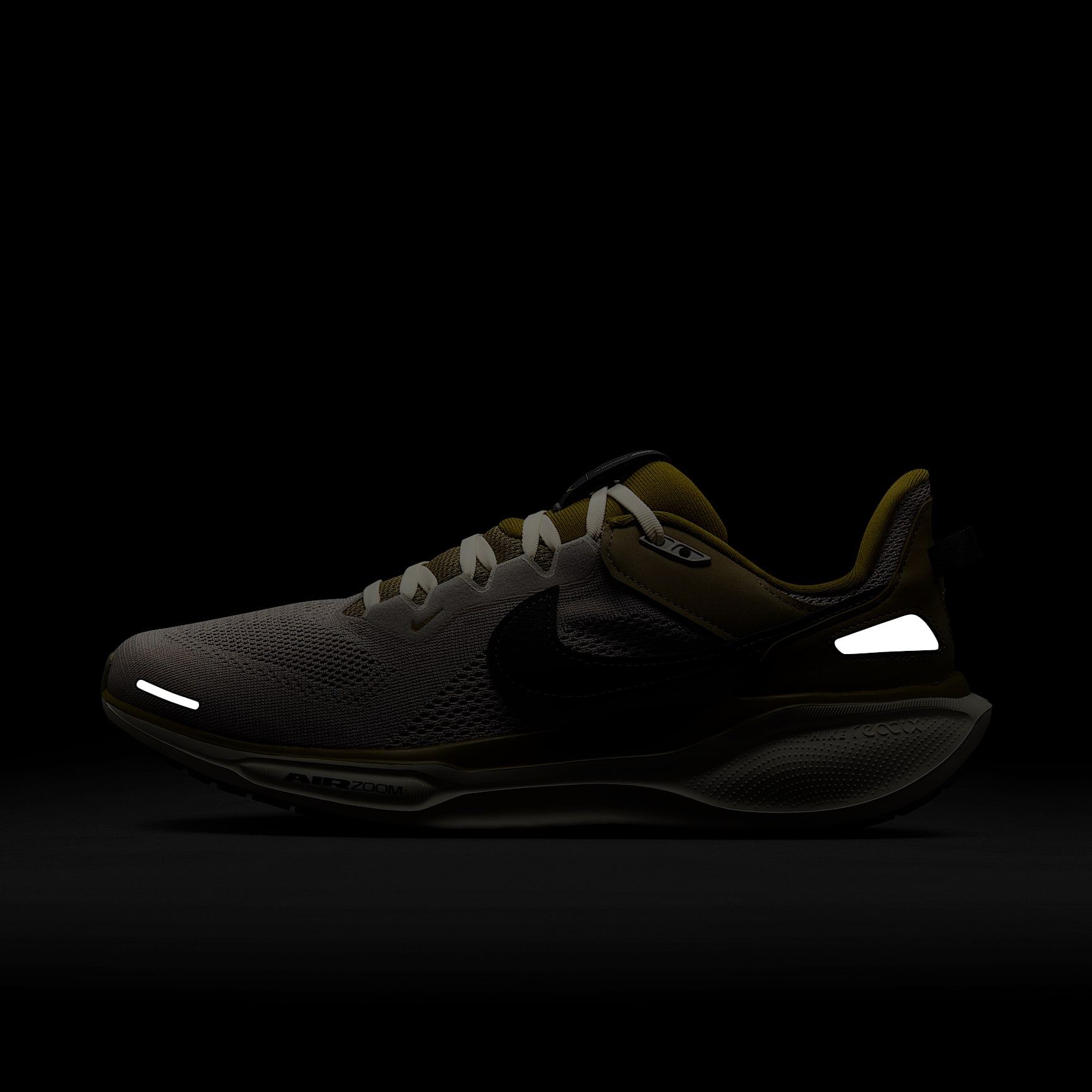 Nike Air Zoom Pegasus 41 SP Men's Shoes
