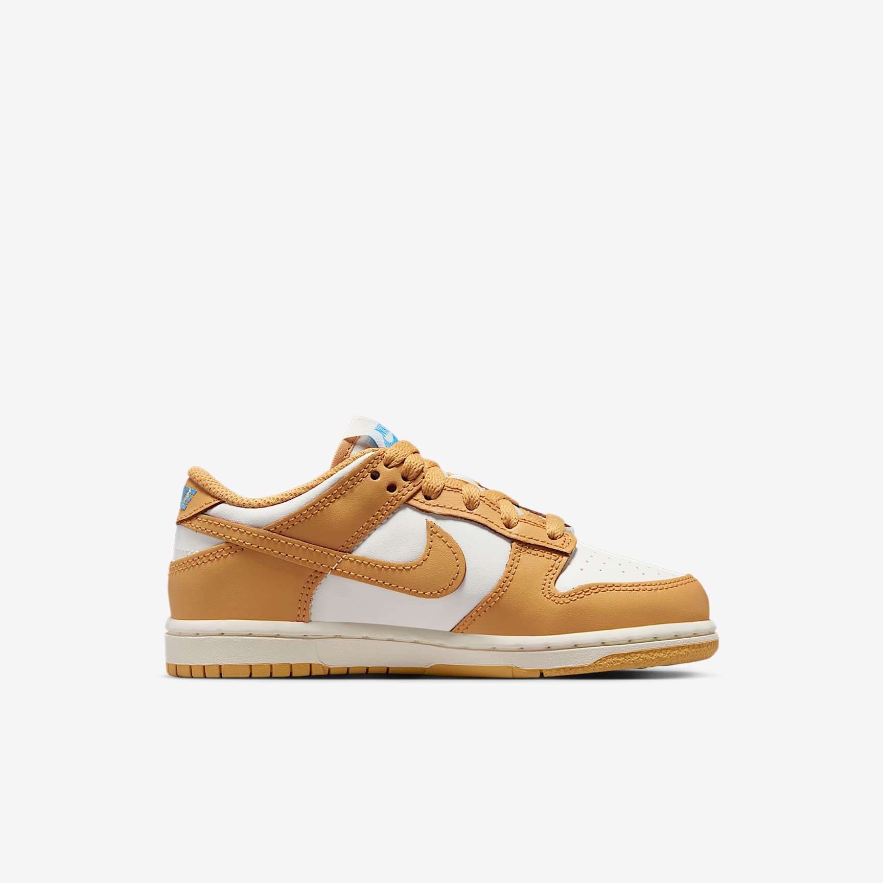 Nike Dunk Low Little Kids' Shoes