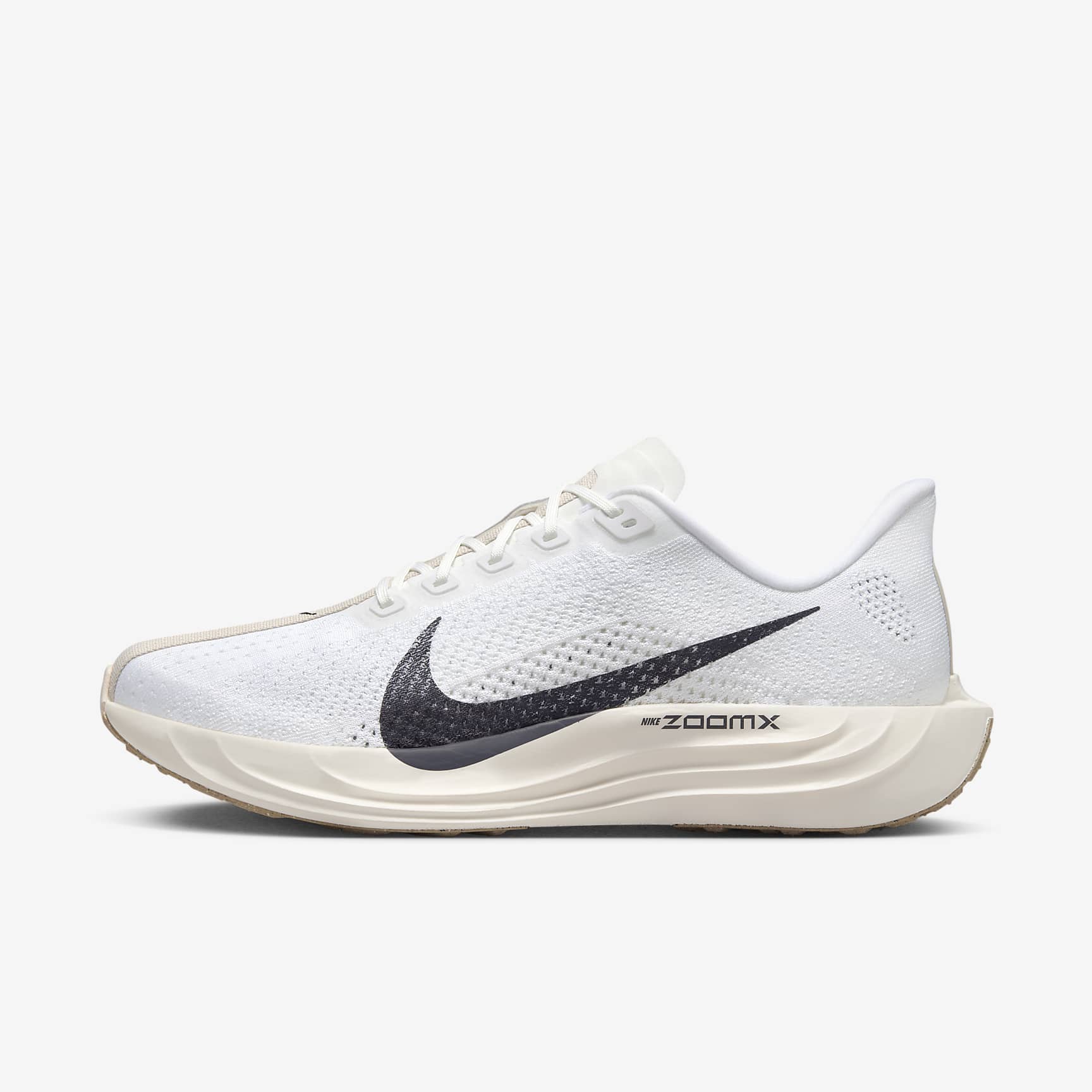 Nike Pegasus Plus Men's Road Running Shoes