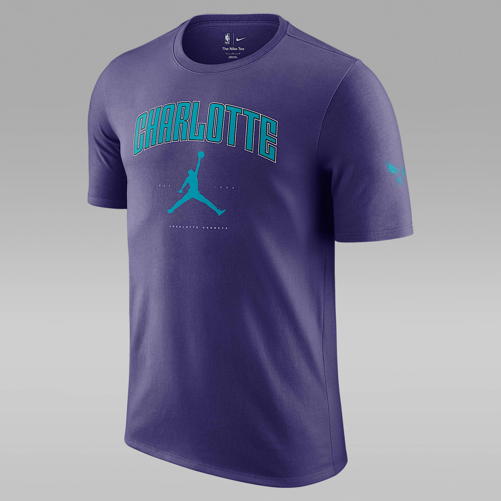 Charlotte Hornets Essential Men's Jordan NBA T-Shirt
