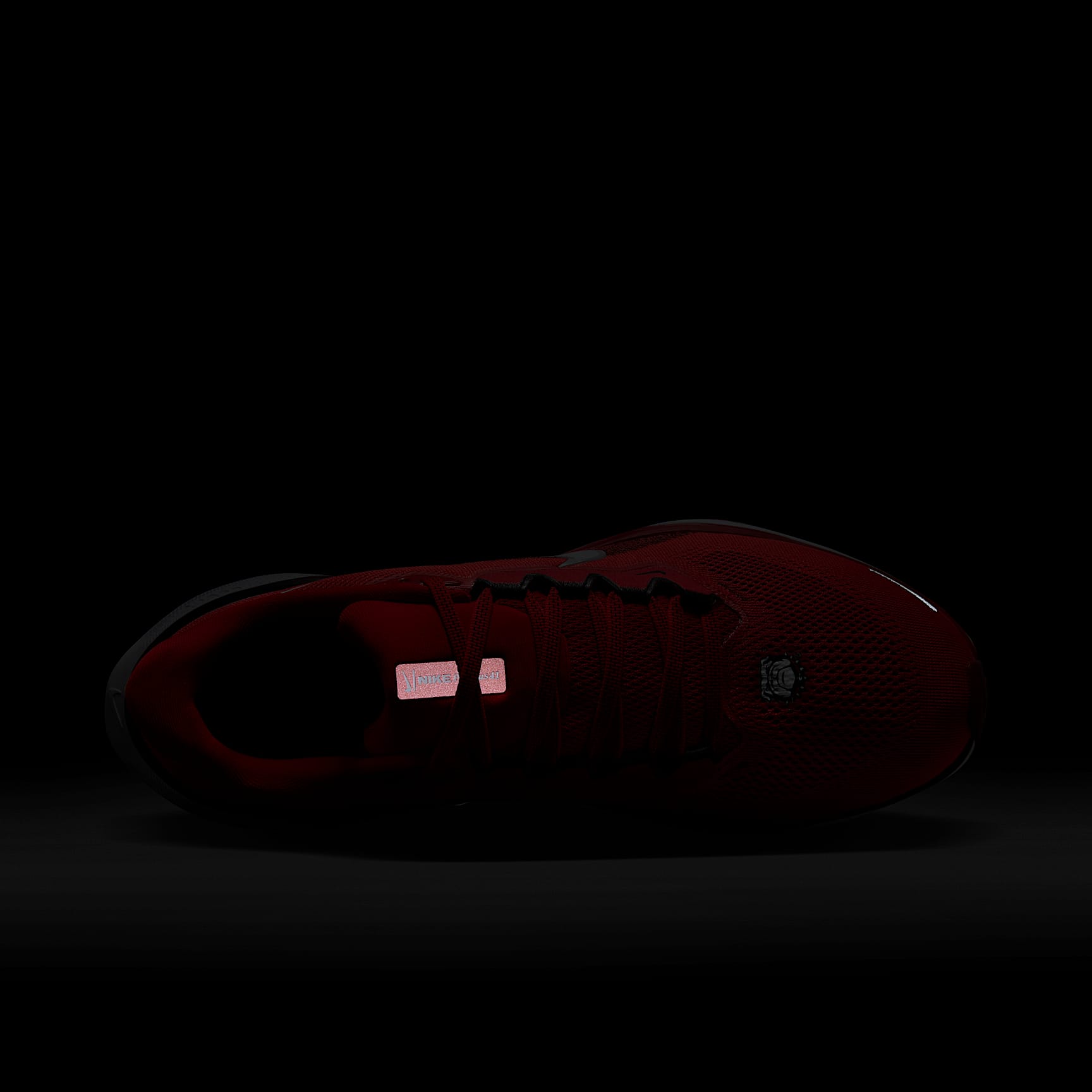 Georgia Pegasus 41 Men's Nike College Road Running Shoes