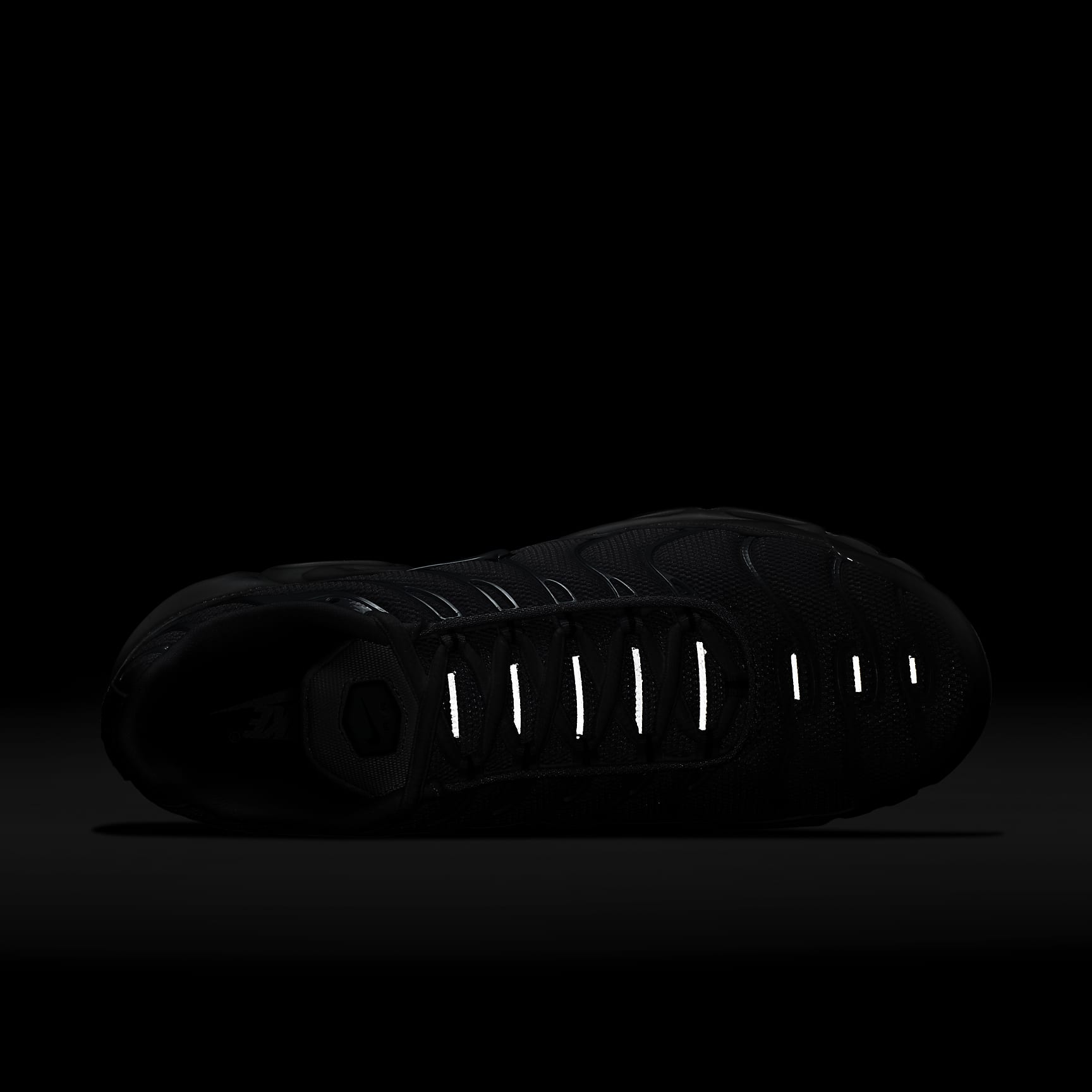 Nike Air Max Plus Men's Shoes