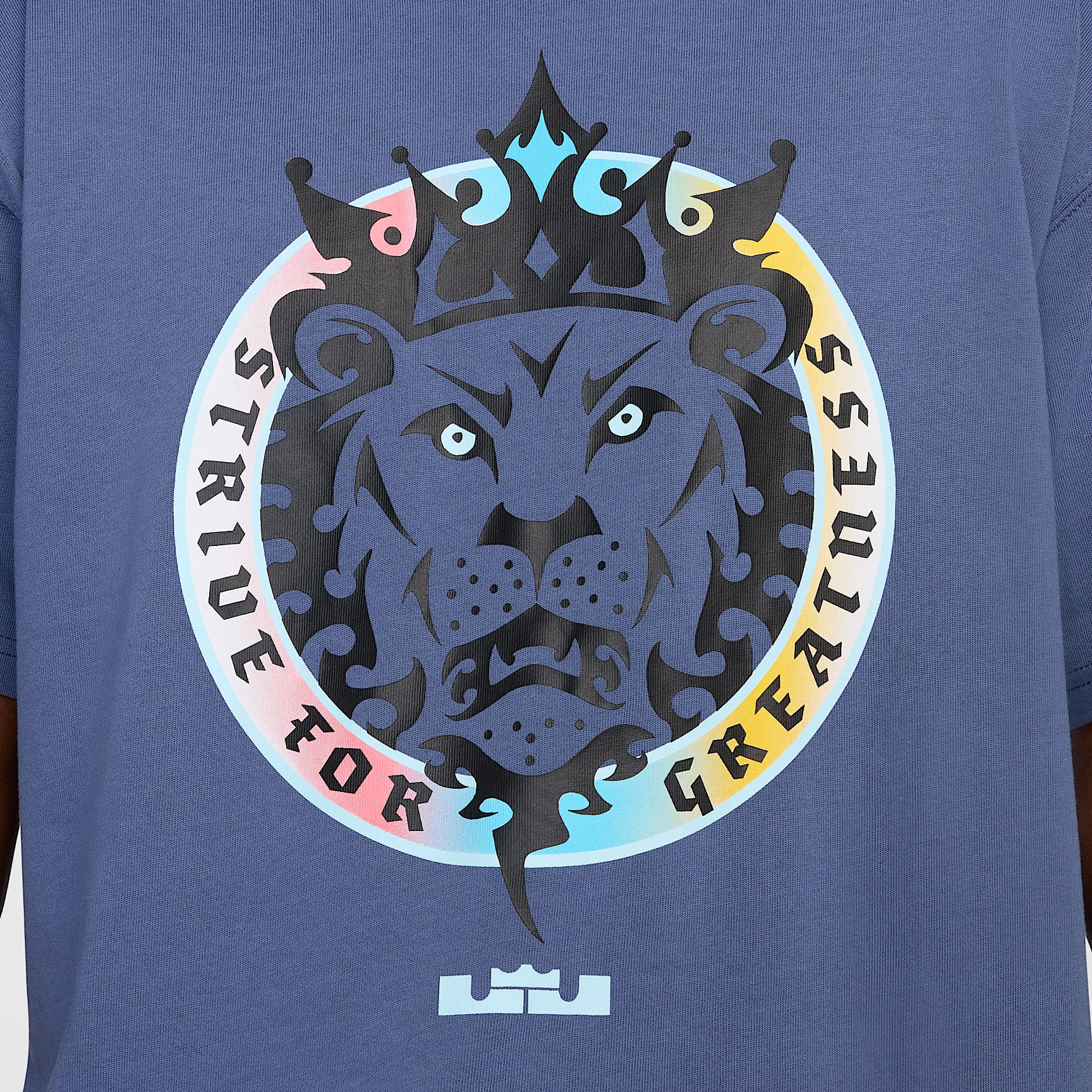 LeBron Men's Max90 Basketball T-Shirt