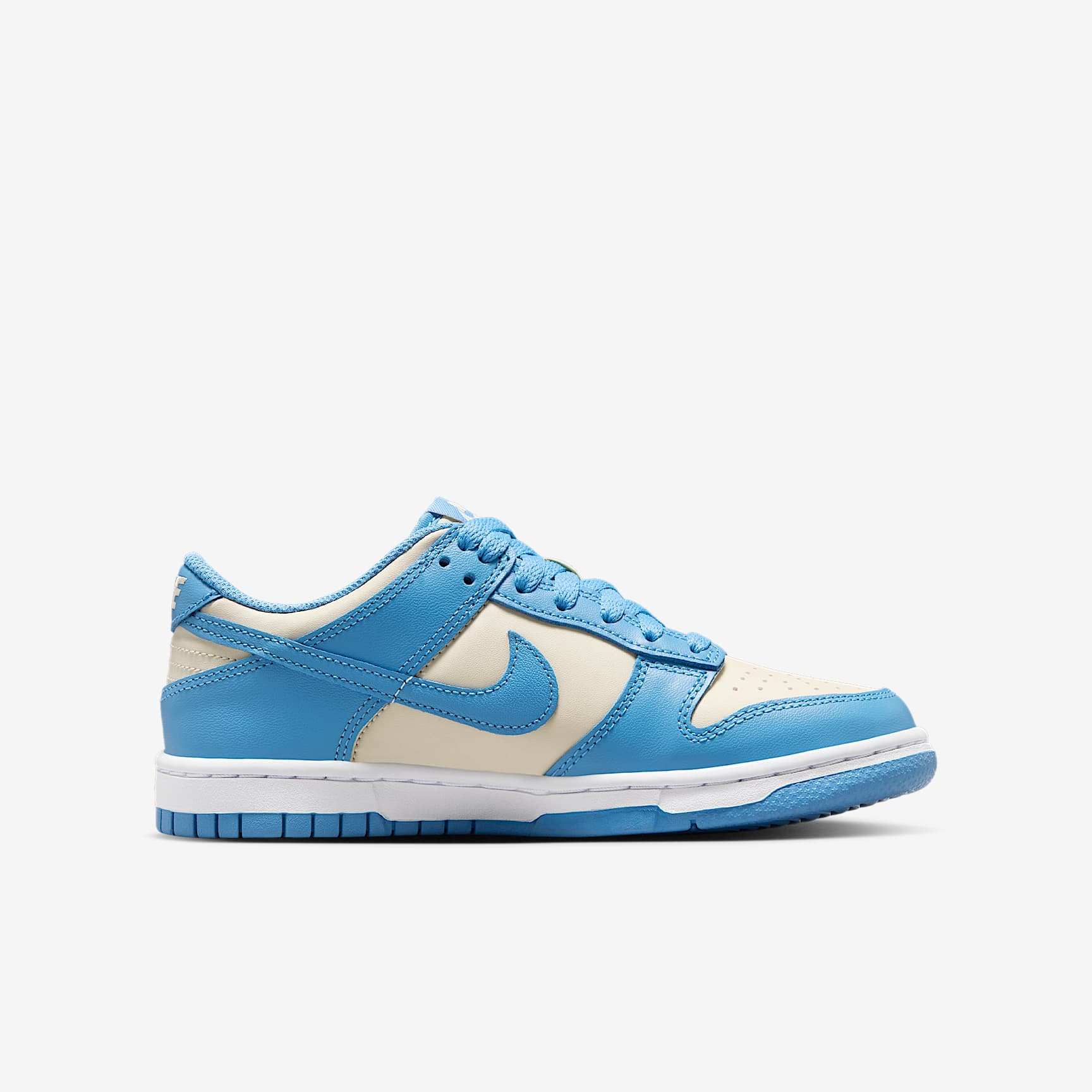 Nike Dunk Low Big Kids' Shoes