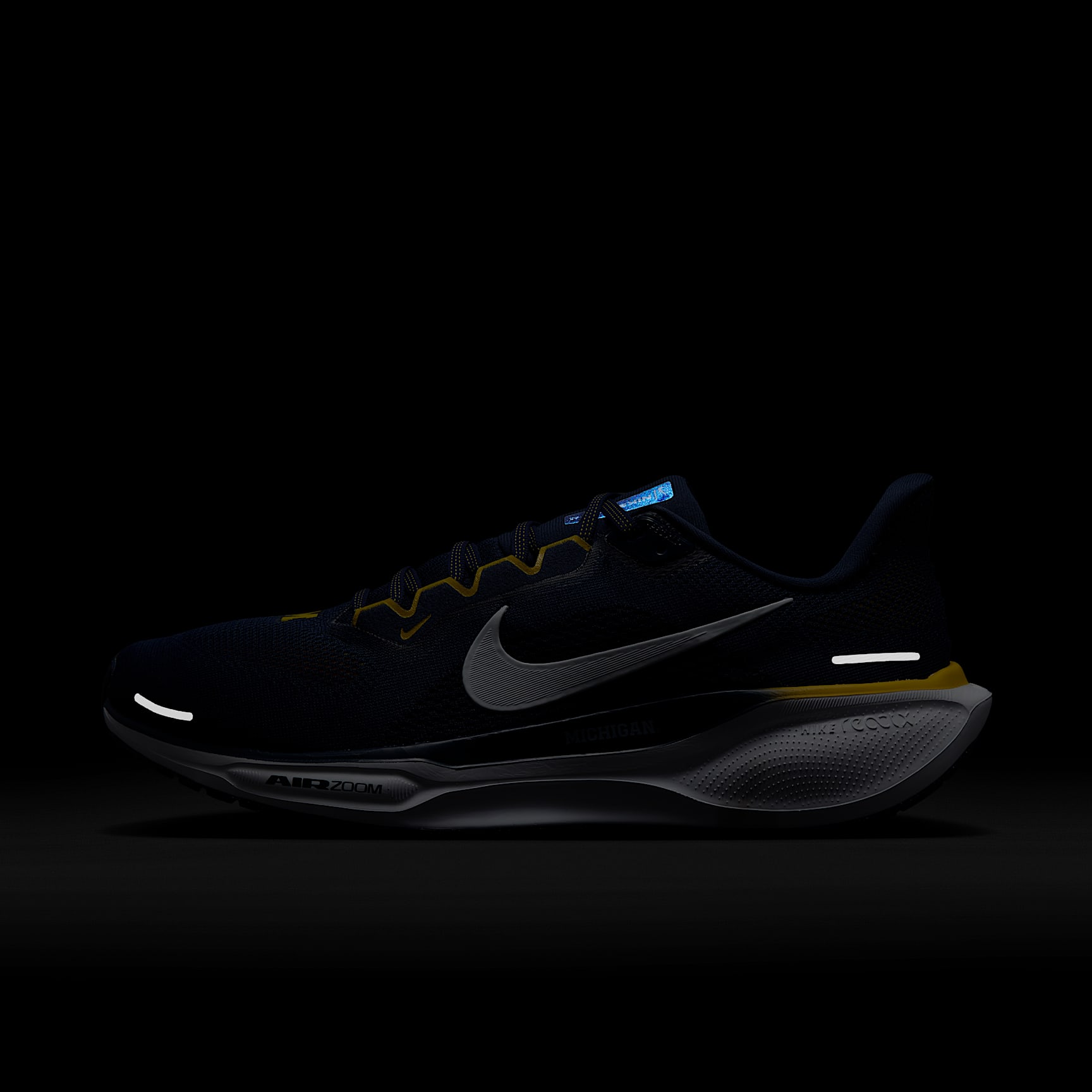 Michigan Pegasus 41 Men's Nike College Road Running Shoes