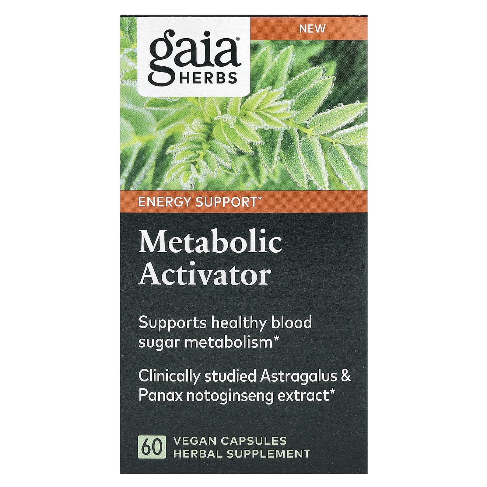 Gaia Herbs, Metabolic Activator, активатор метаболизма, 60 веганских капсул
