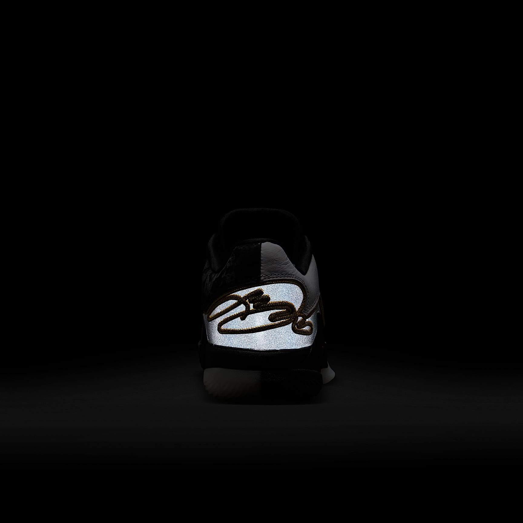 LeBron XXII Split Big Kids' Basketball Shoes