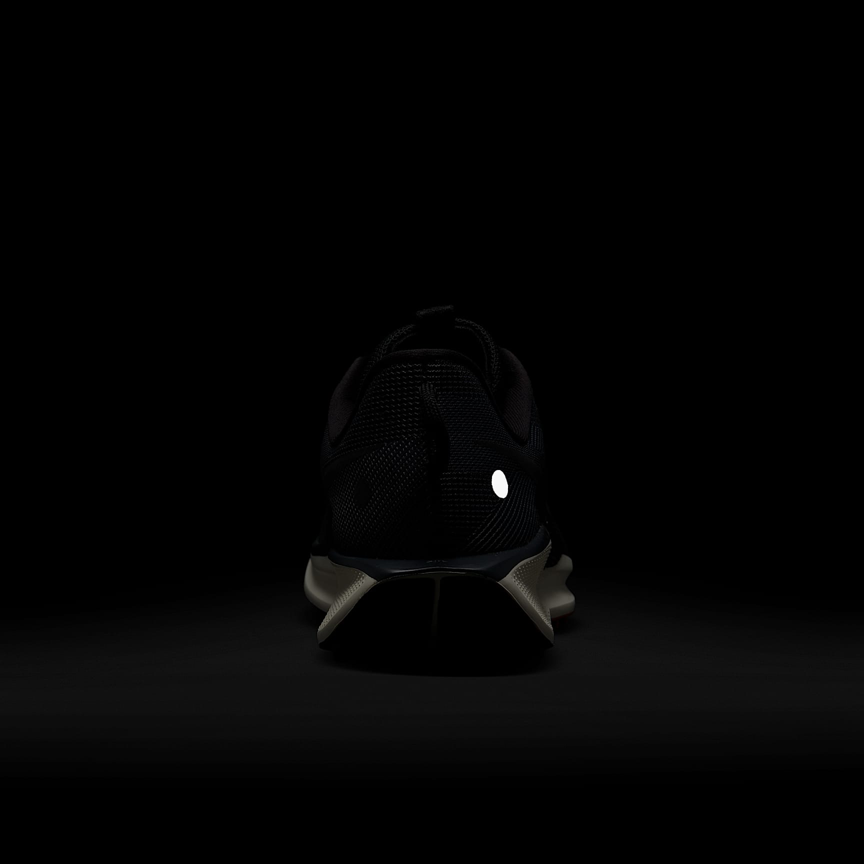 Nike Pegasus Trail 5 Men's Trail Running Shoes