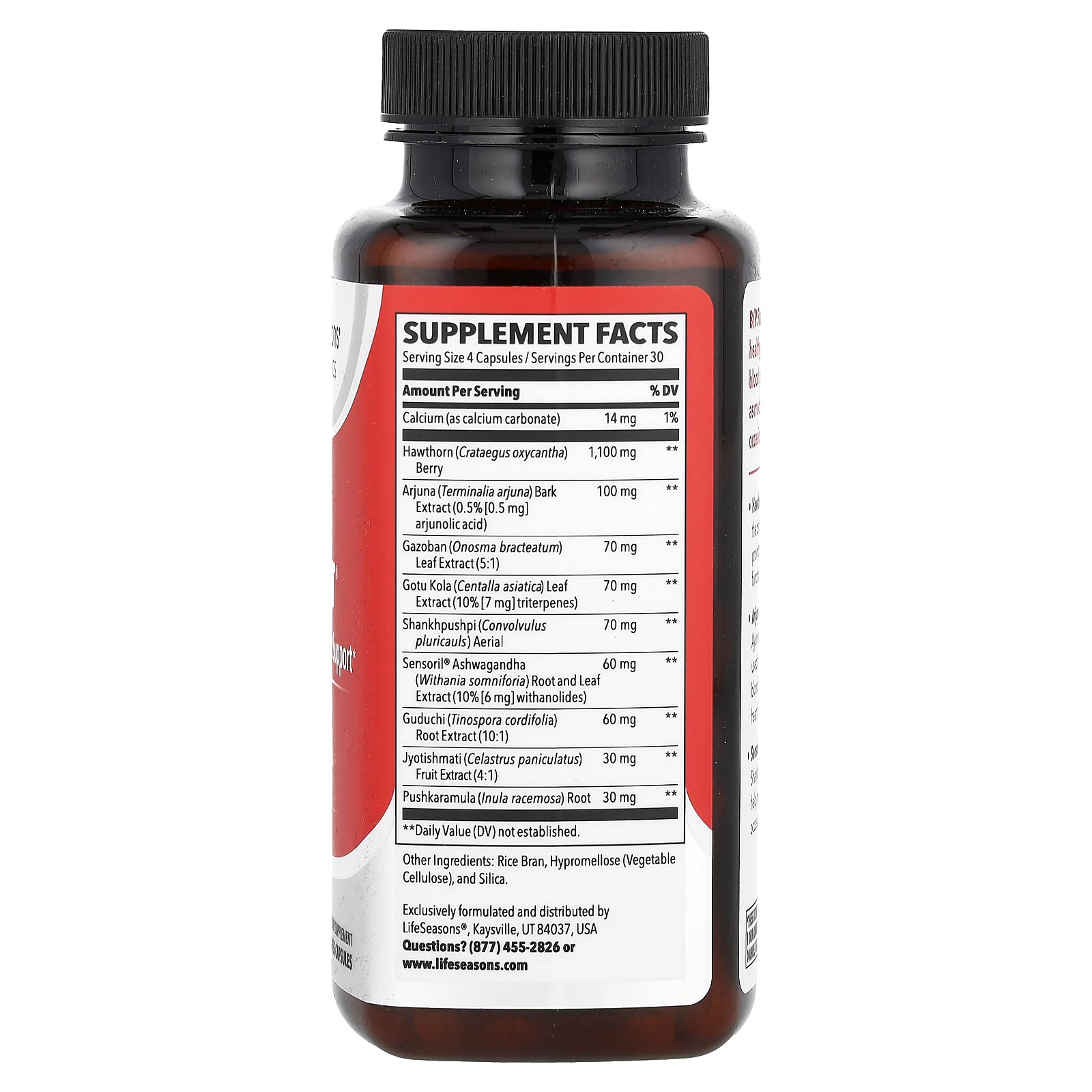 LifeSeasons, B/P Stabili-T, добавка для поддержки артериального давления, 120 растительных капсул