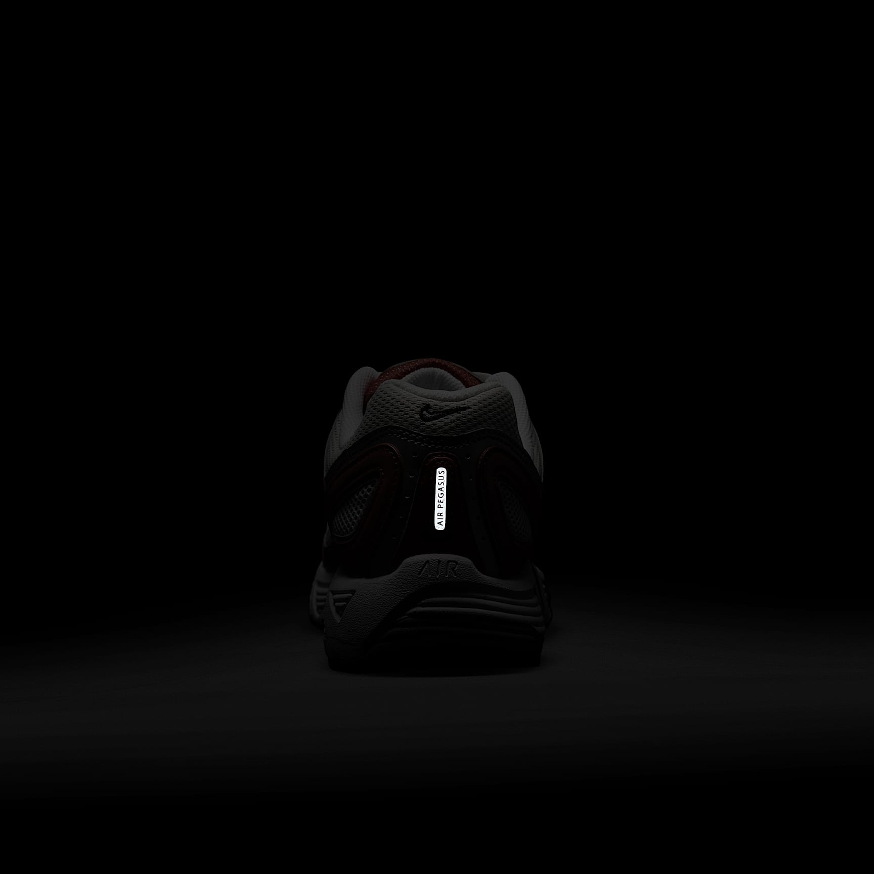 Nike Air Pegasus 2005 Men's Shoes