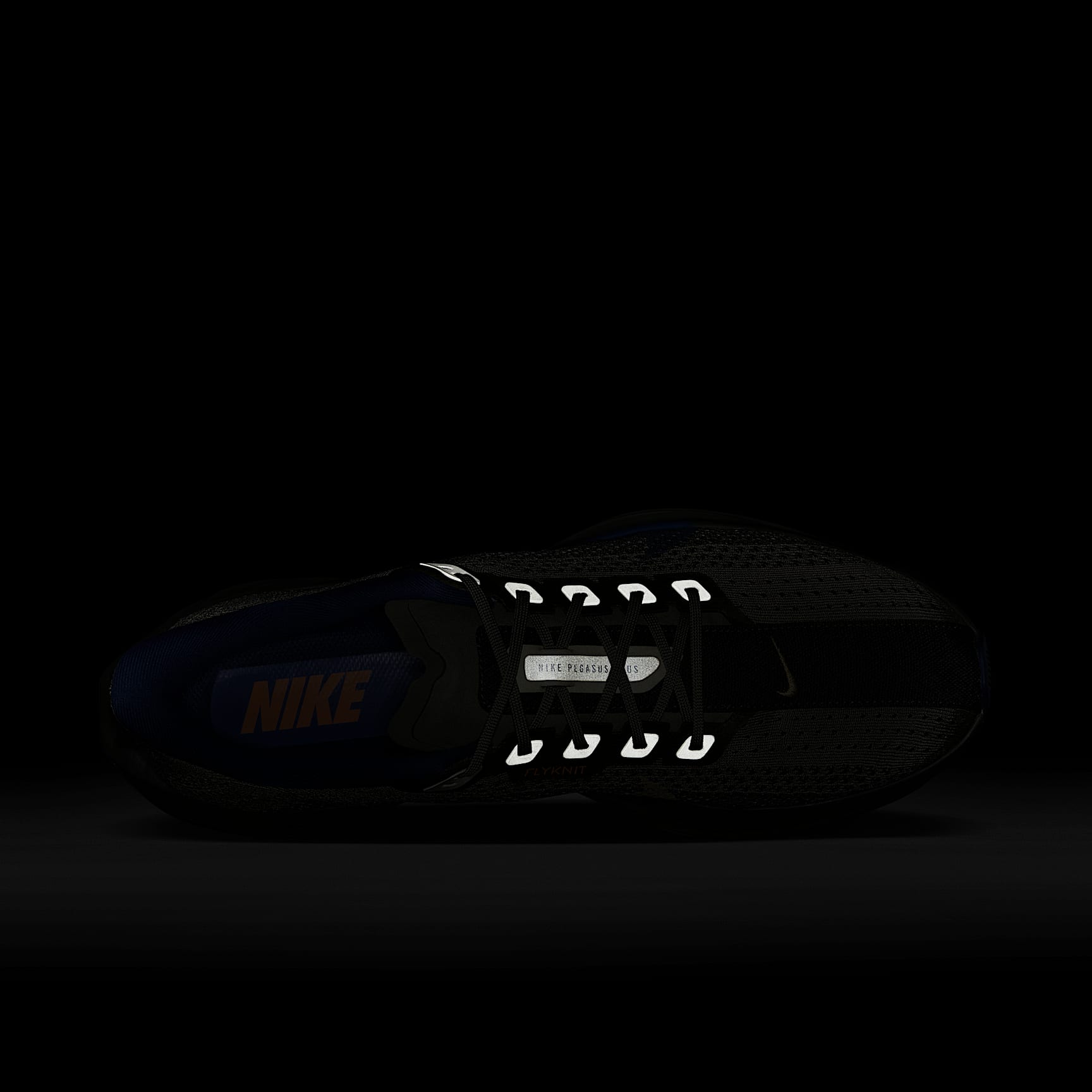 Nike Pegasus Plus Men's Road Running Shoes