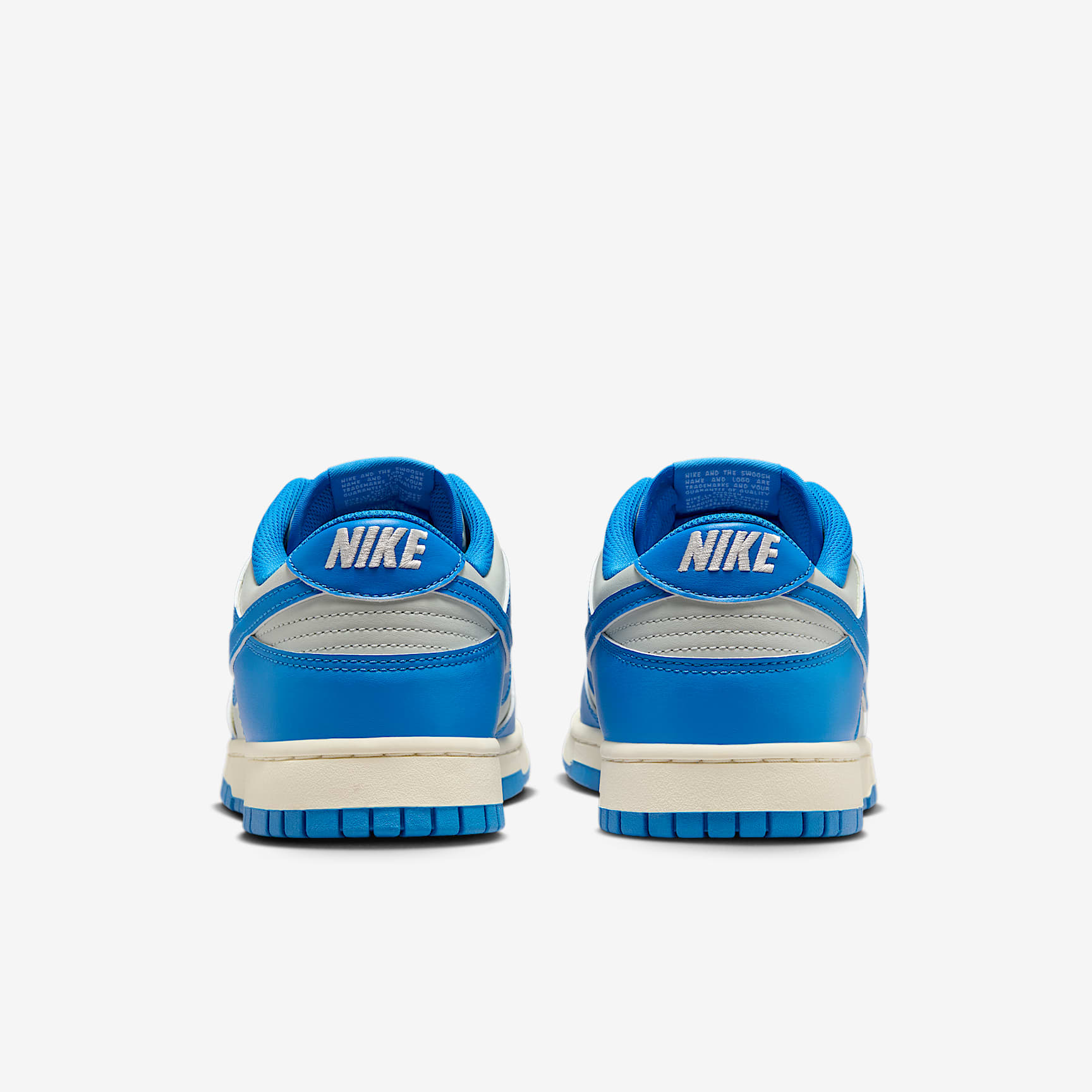 Nike Dunk Low Retro Men's Shoes