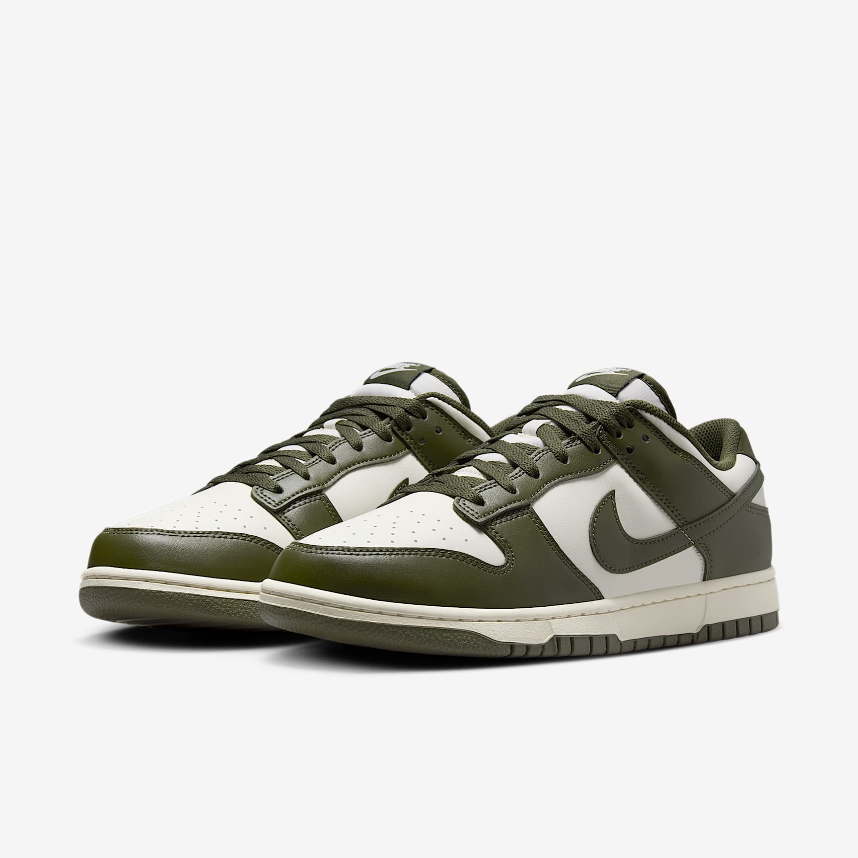 Nike Dunk Low Retro Men's Shoes
