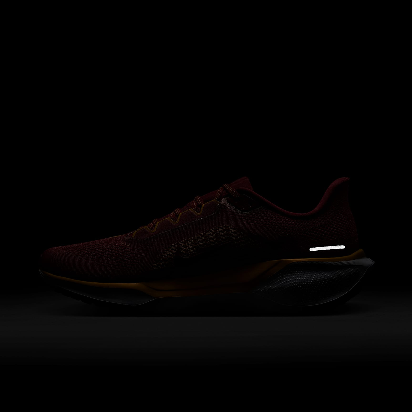 USC Pegasus 41 Men's Nike College Road Running Shoes