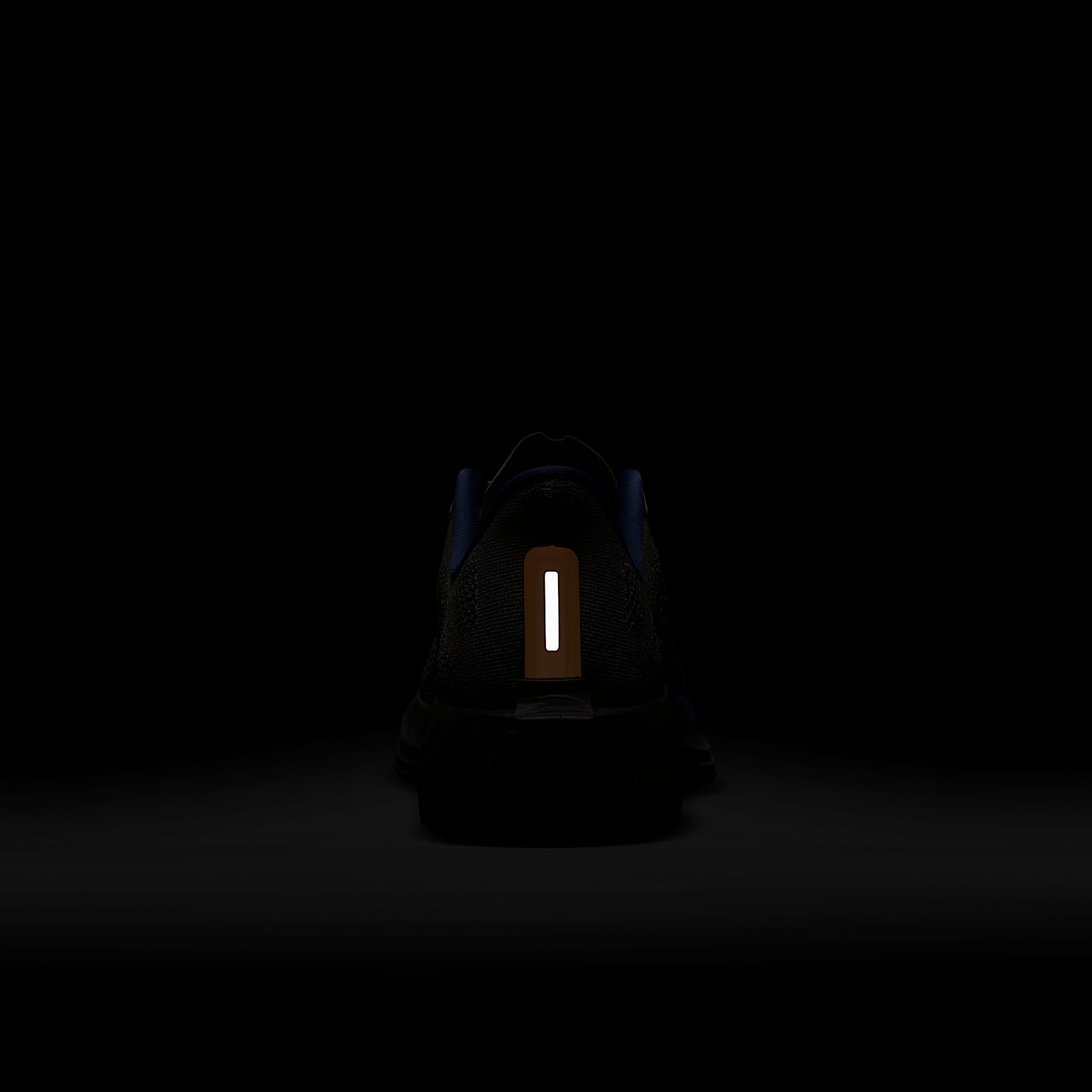 Nike Pegasus Plus Men's Road Running Shoes