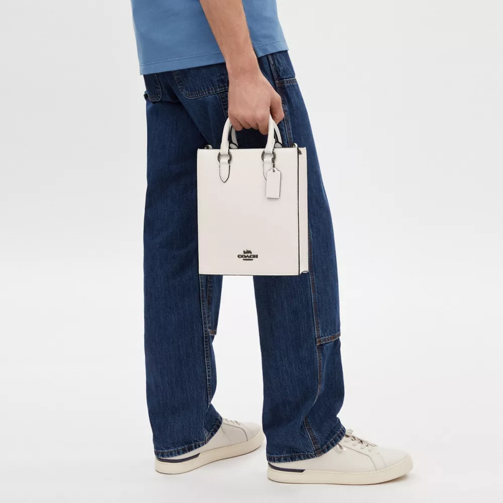 Сумка COACH Dylan Tote Bag