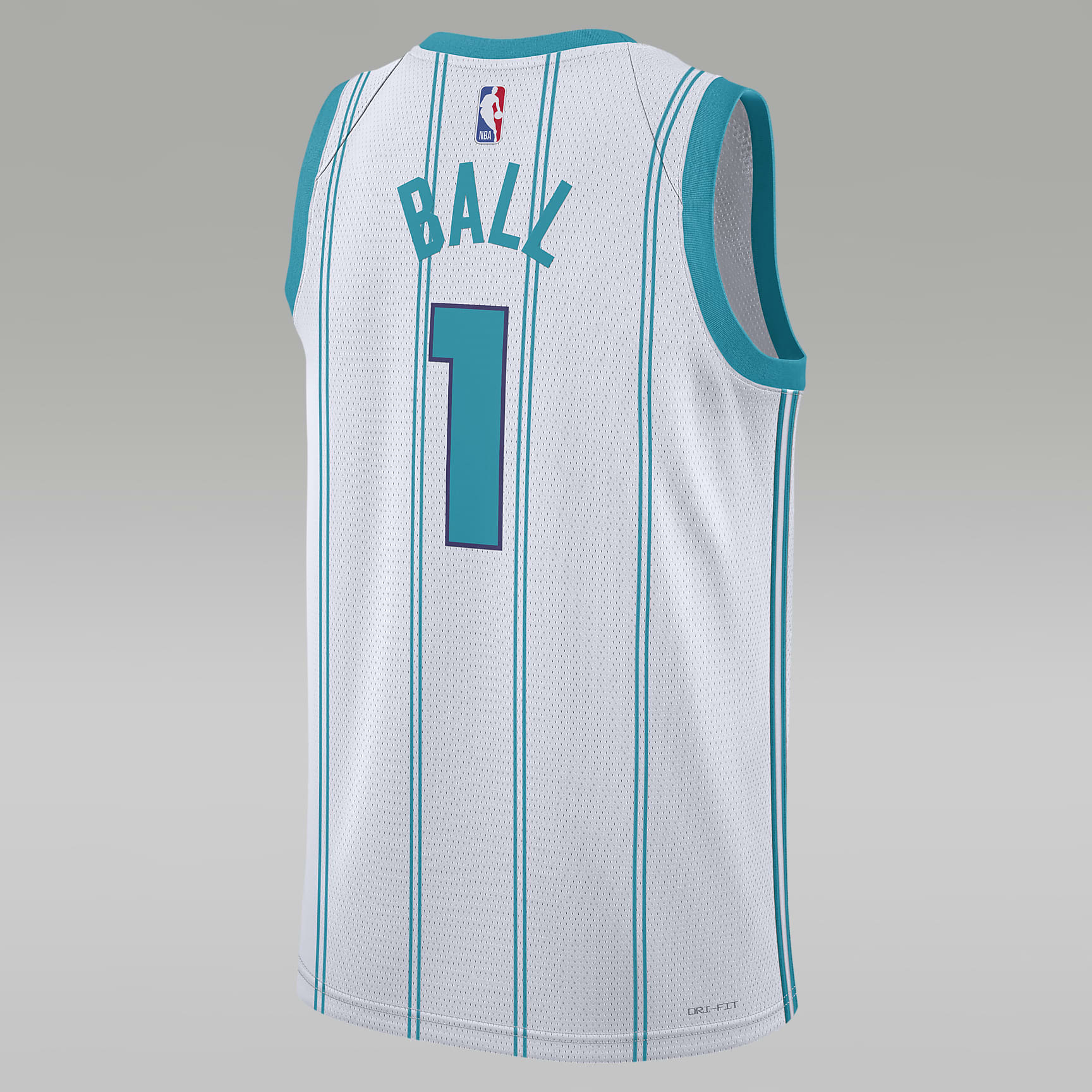 Charlotte Hornets Association Edition 2022/23 Men's Jordan Dri-FIT NBA Swingman Jersey