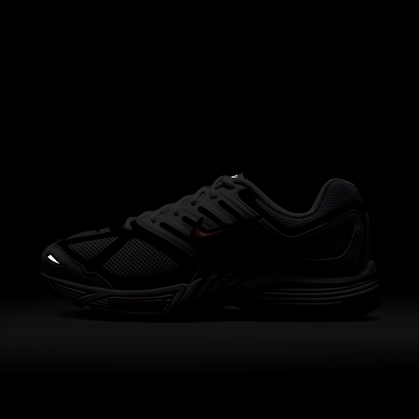 Nike Air Pegasus 2005 Men's Shoes