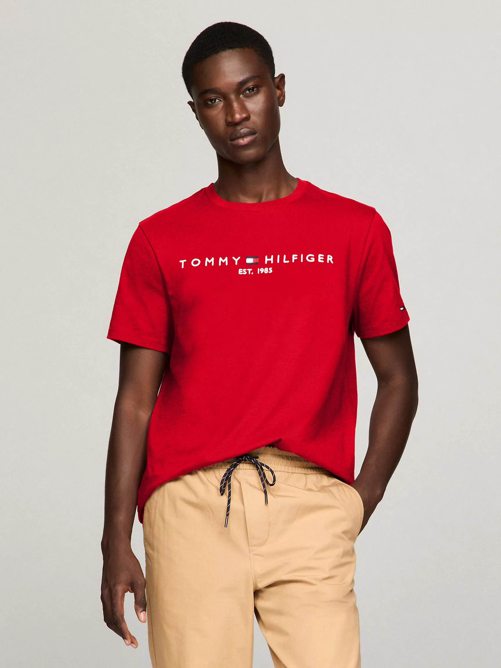 Мужская футболка Tommy Hilfiger, Футболка с логотипом Tommy
