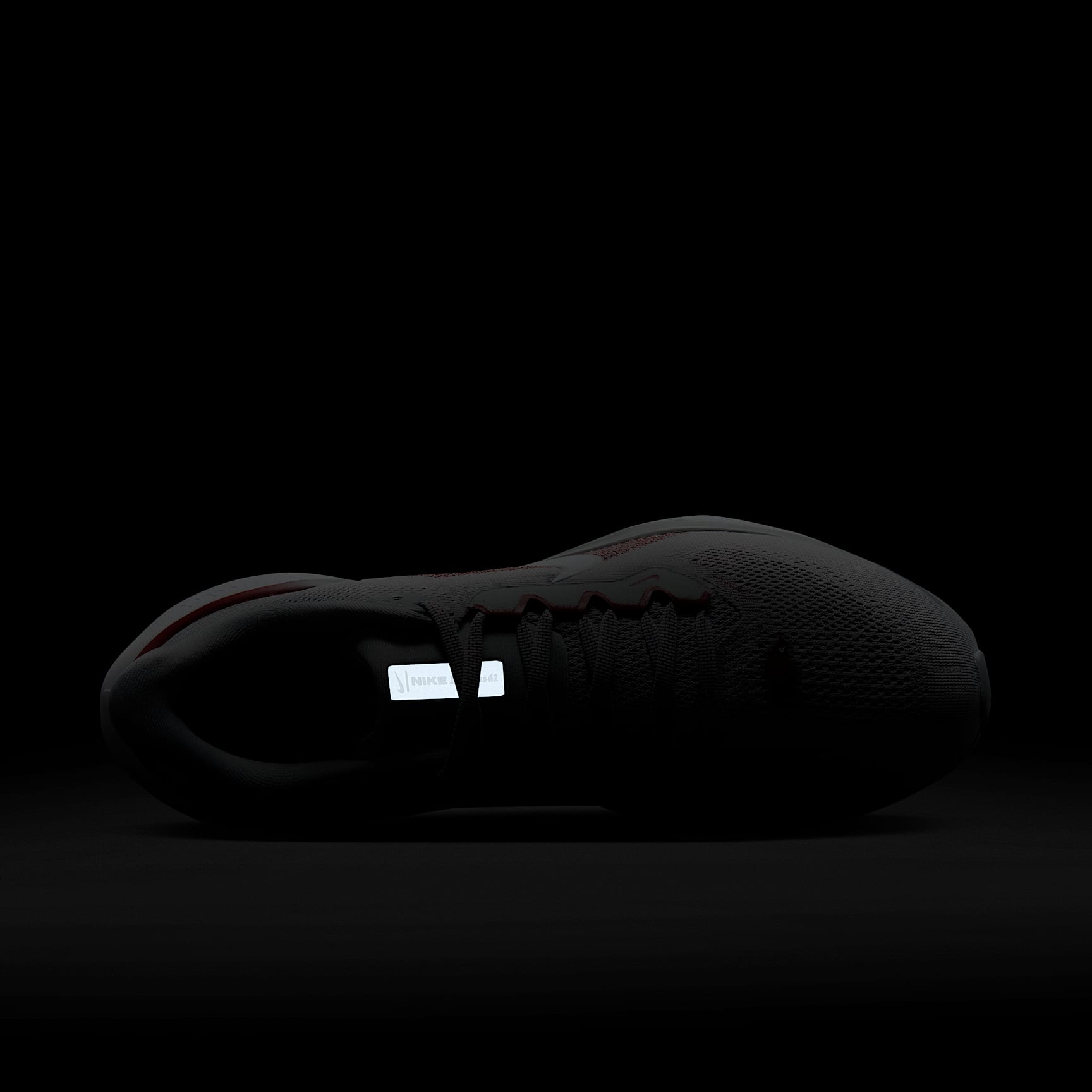 Arkansas Pegasus 41 Men's Nike College Road Running Shoes