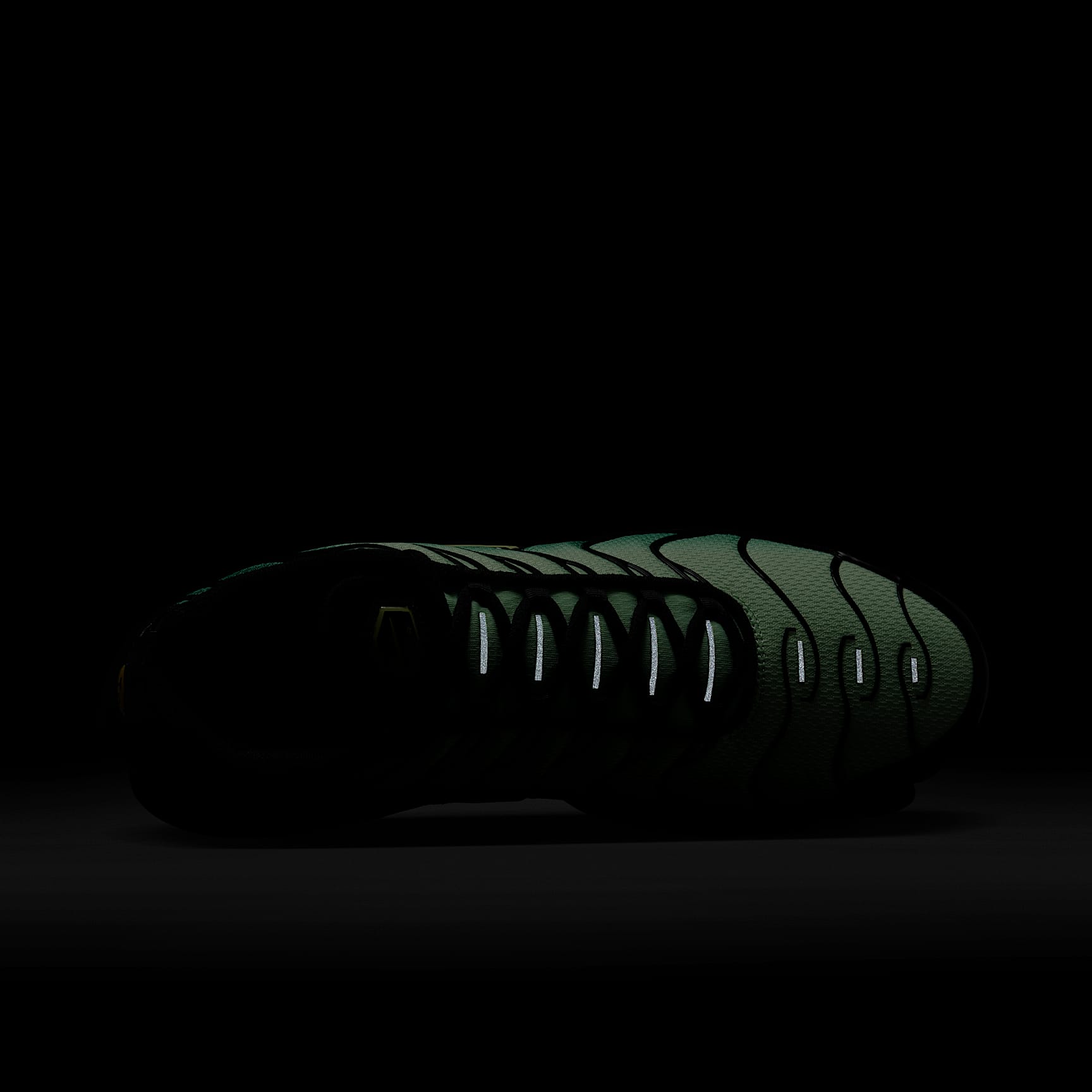 Nike Air Max Plus Men's Shoes
