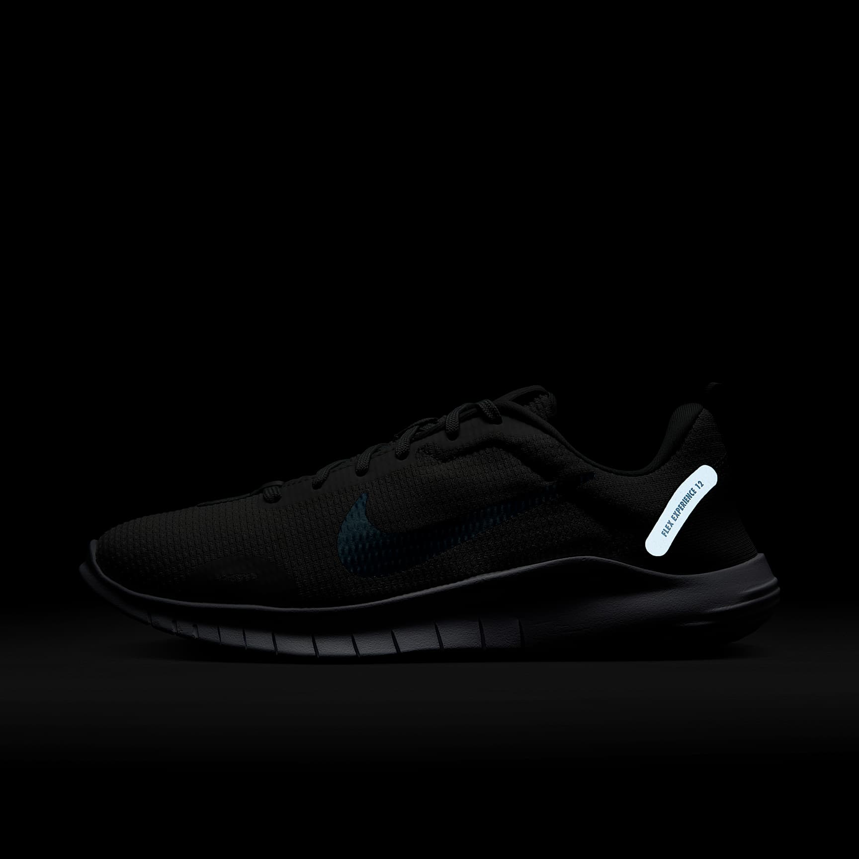 Nike Flex Experience Run 12 Women's Road Running Shoes