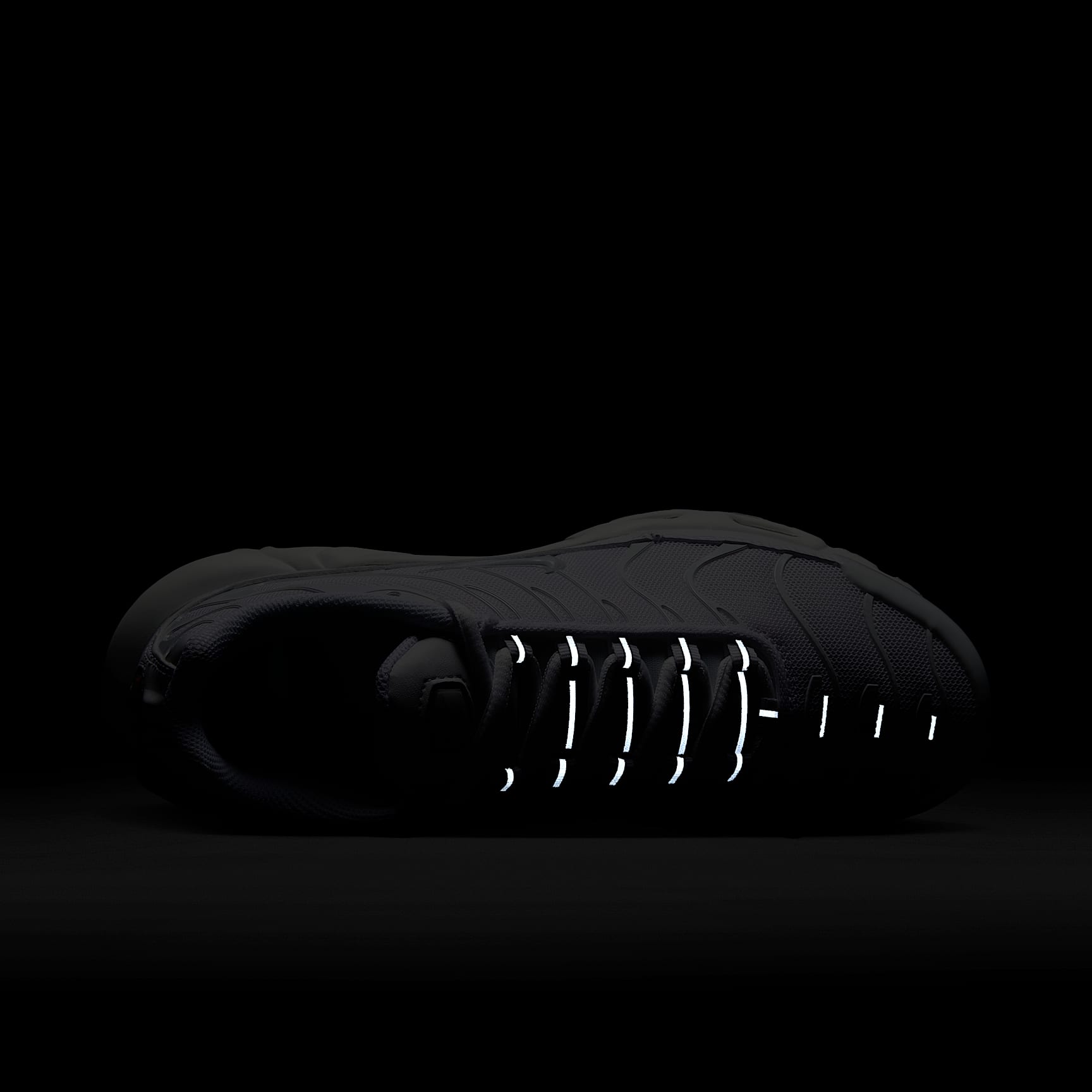Nike Air Max Plus Women's Shoes